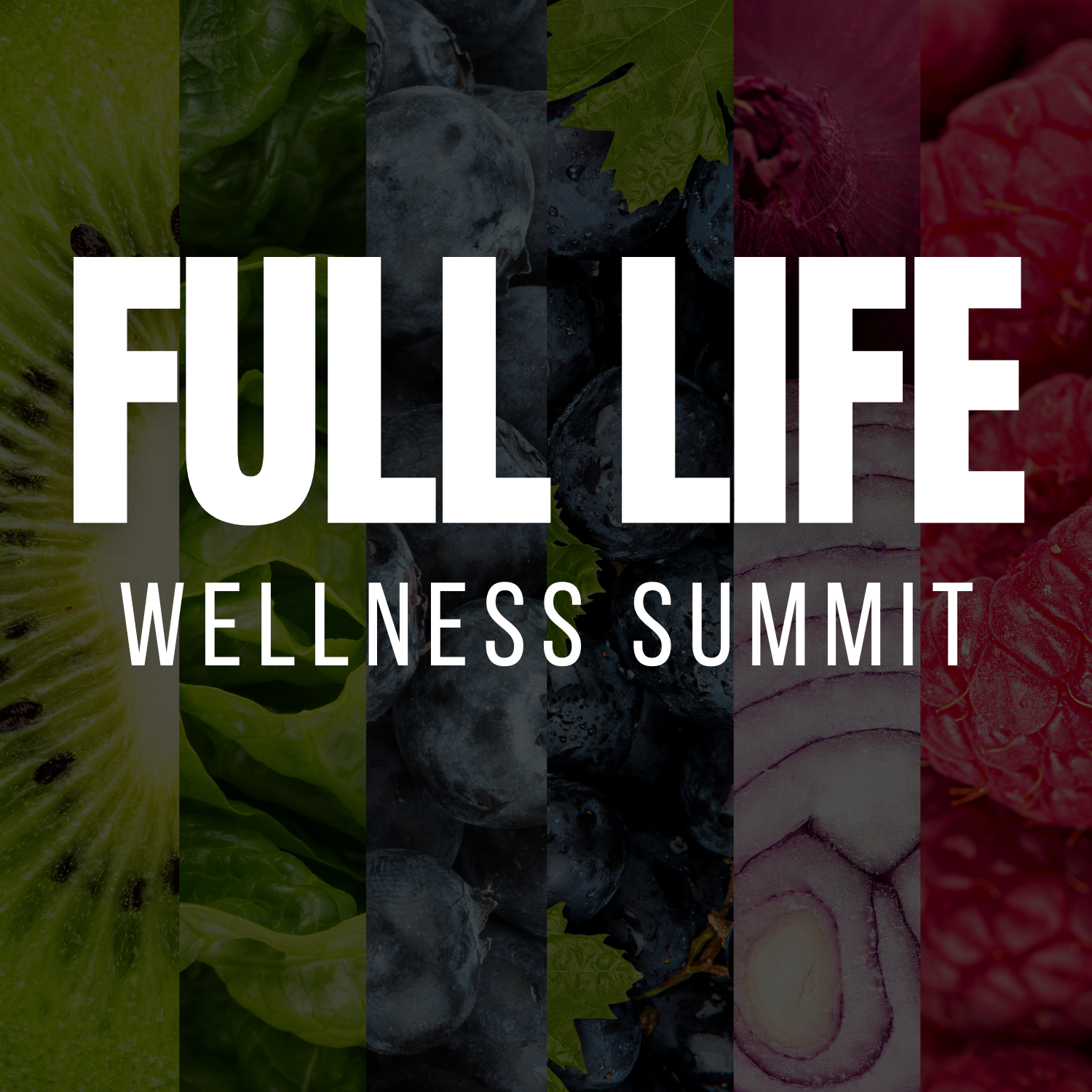 Full Life Wellness Summit