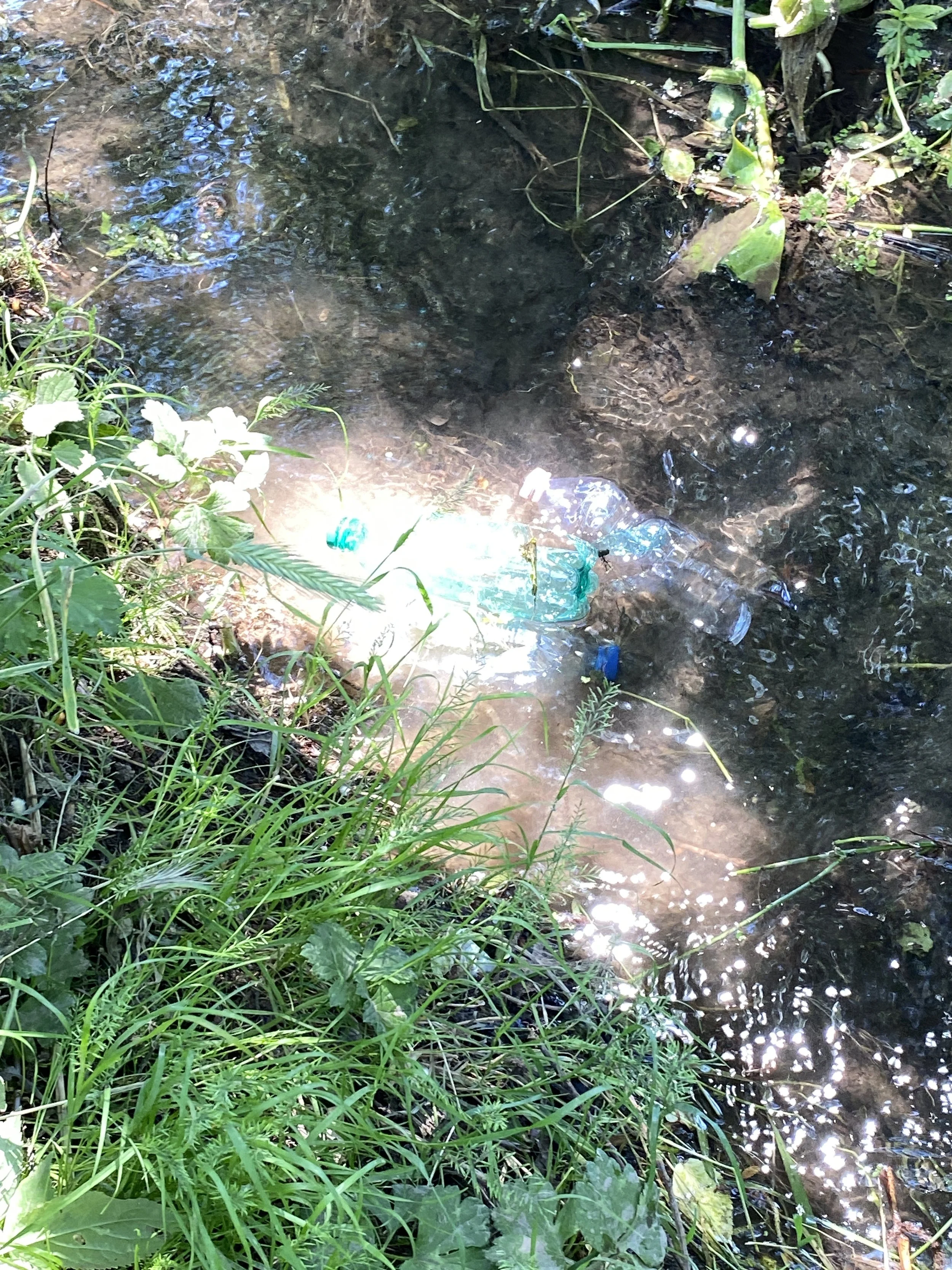 Bottle Together