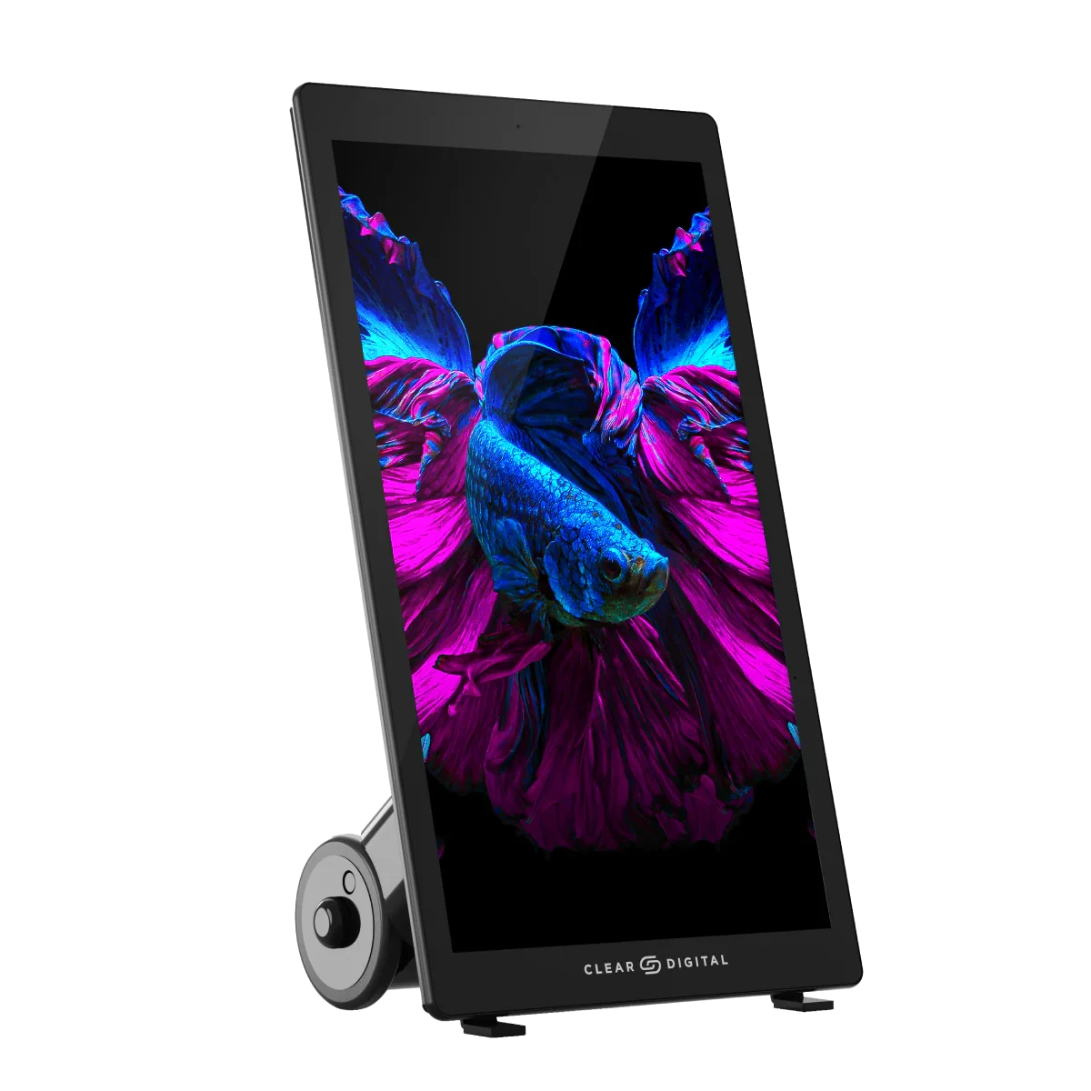 ClearTouch Display