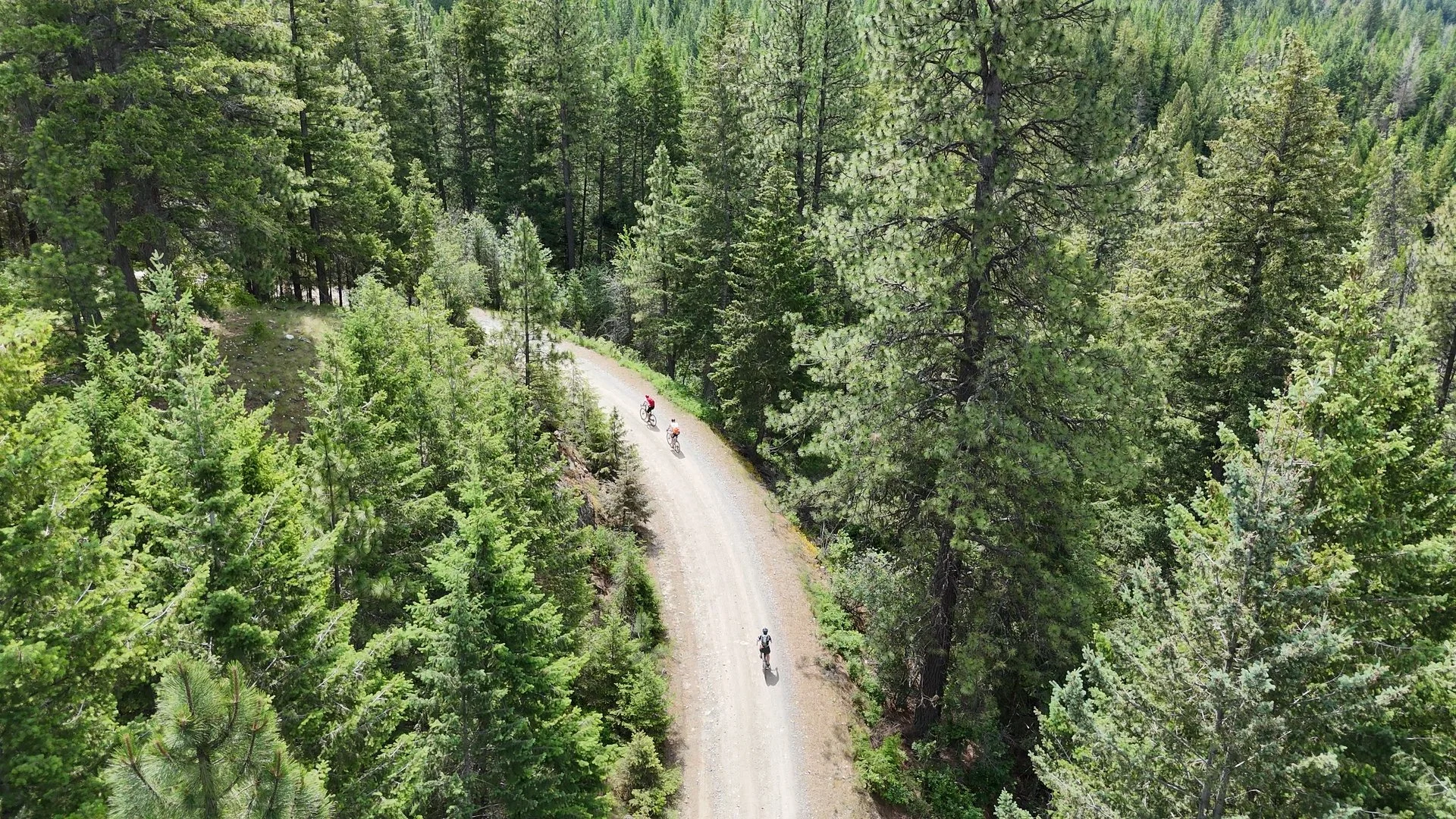 Monarch Grind Still_1.70.1.jpg