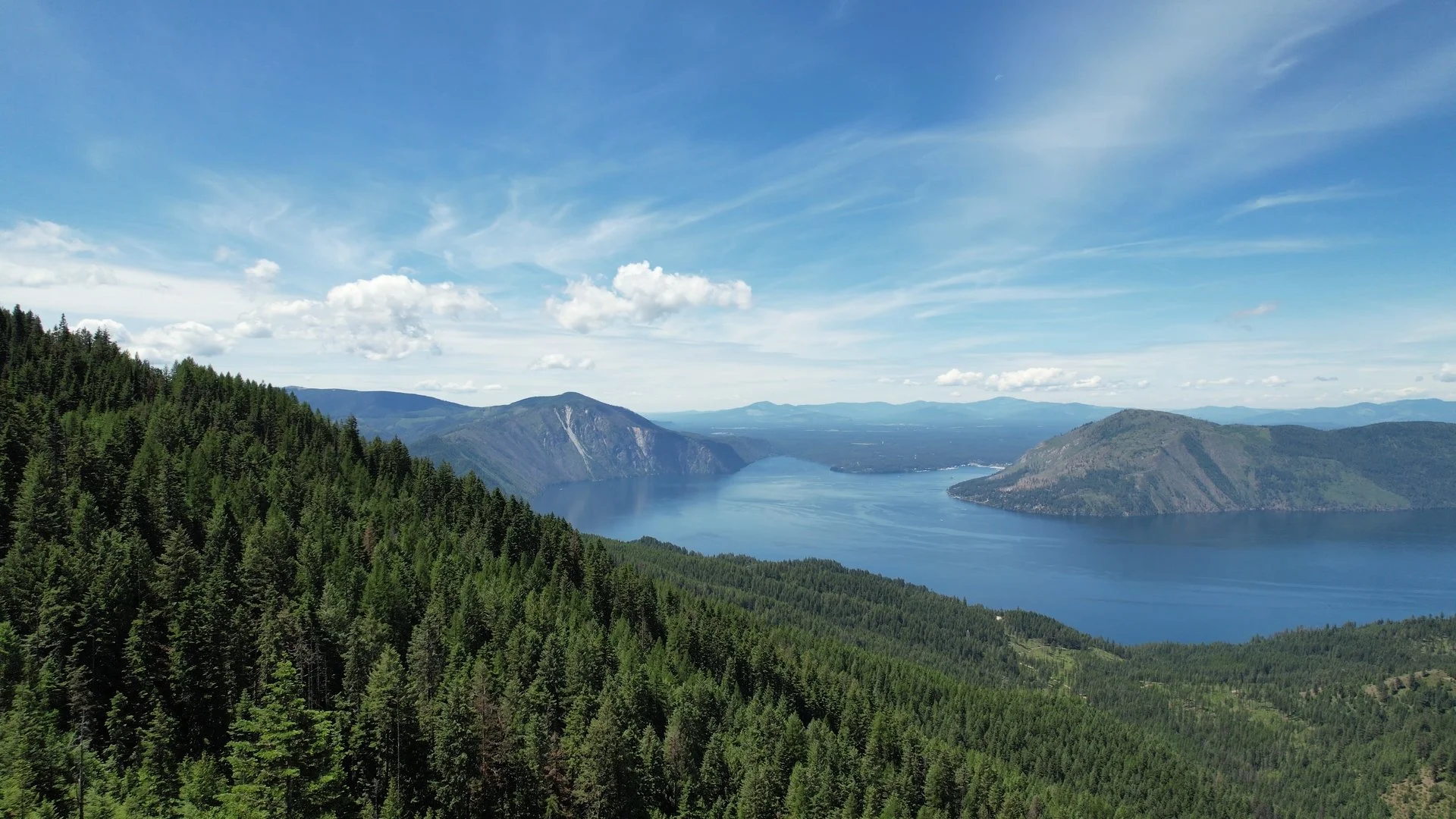 Monarch Grind Still_1.76.1.jpg