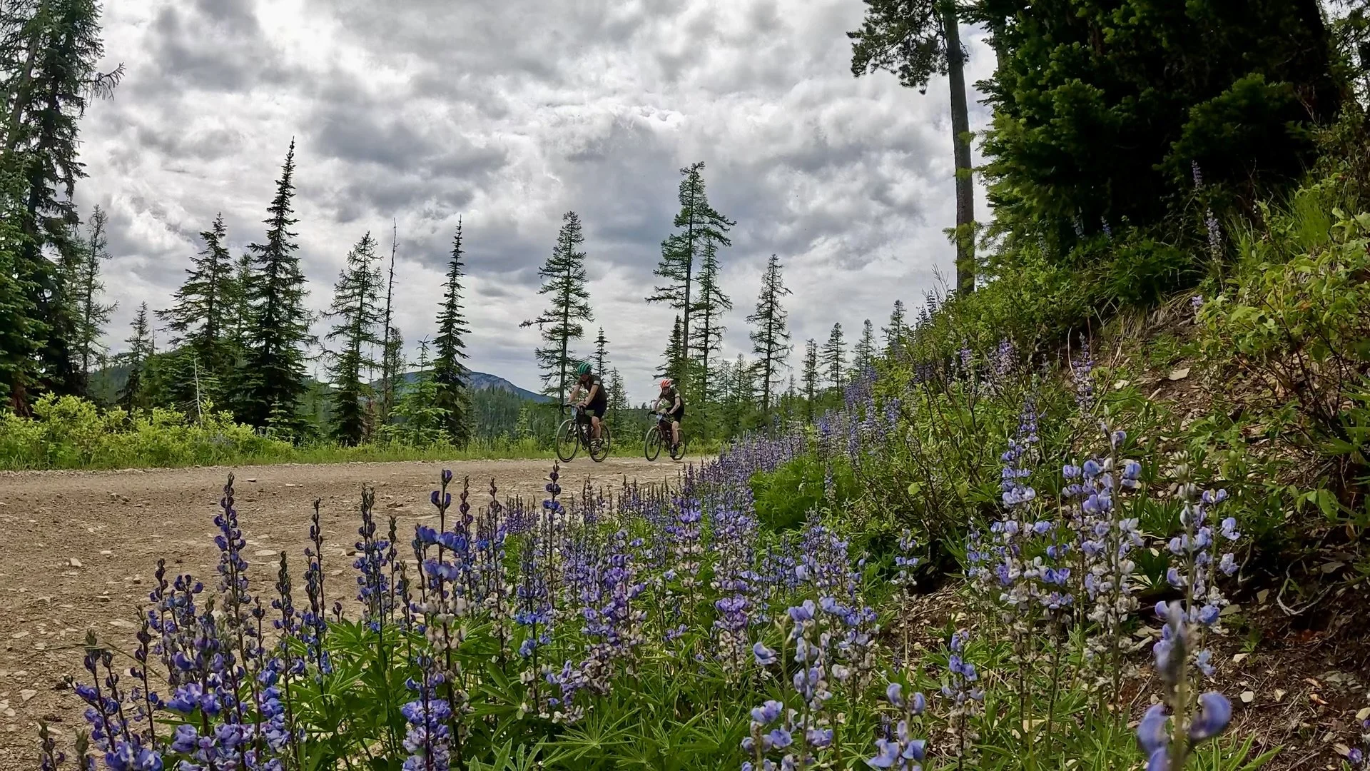 Monarch Grind Still_1.98.1.jpg