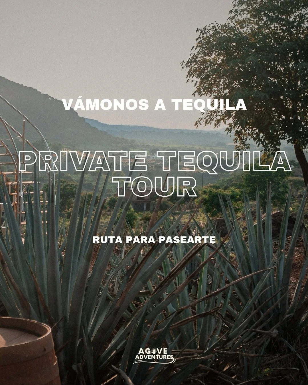 ¿Buscas vivir el tequila más allá de la copa? 🌵
Descubre el proceso artesanal, conoce destilerías familiares y camina entre los campos de agave en una experiencia privada hecha para verdaderos amantes del tequila.
✨ Vive
