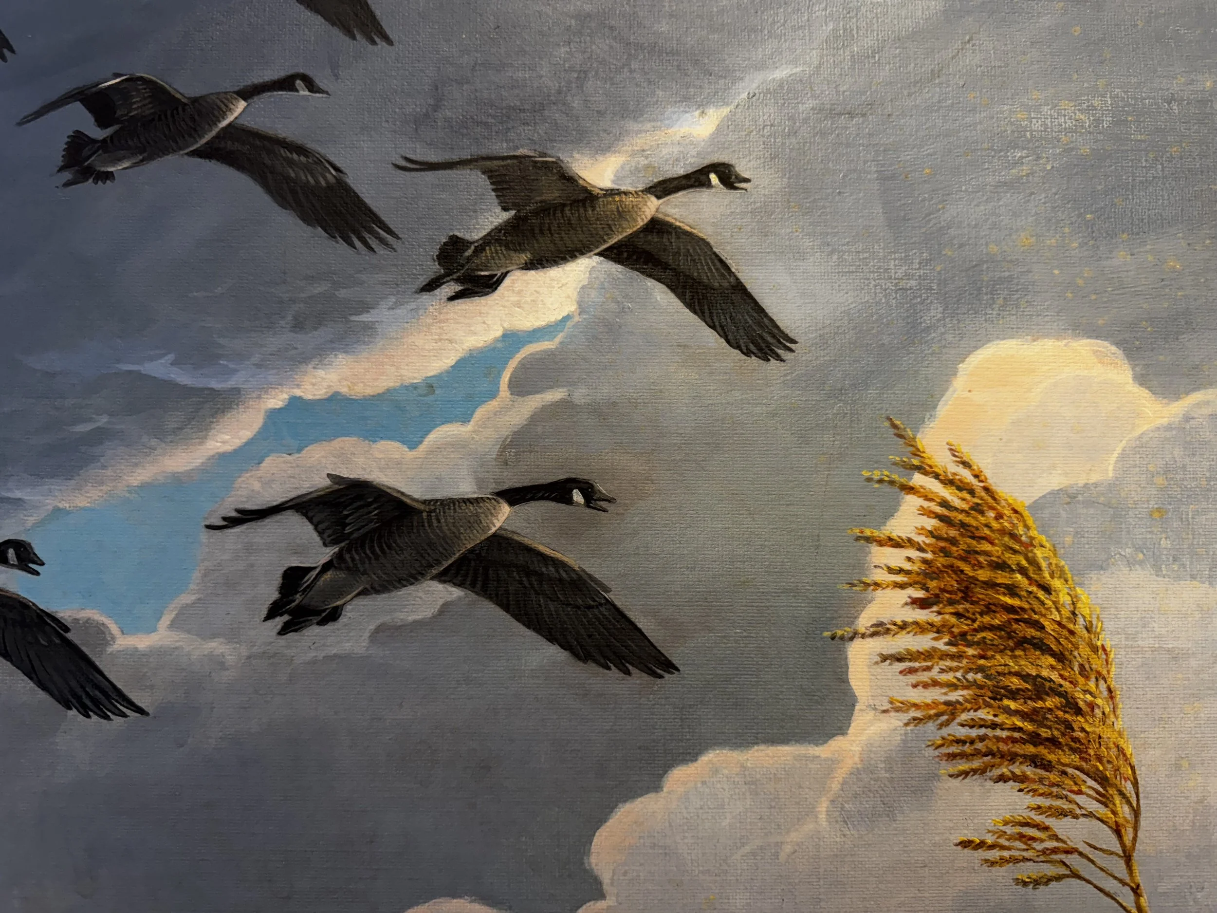 painting of Canada Geese flying