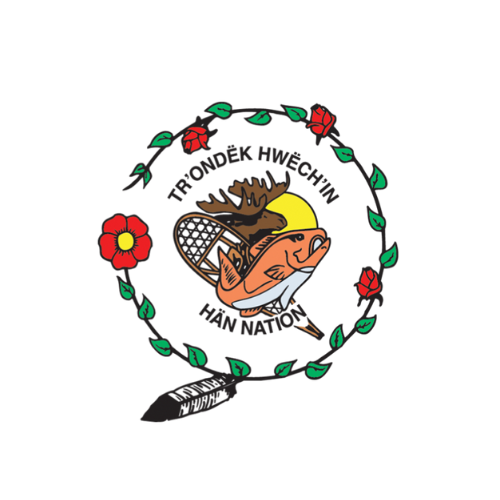 RVDM logo (4).png
