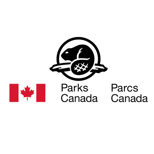 RVDM logo (9).png