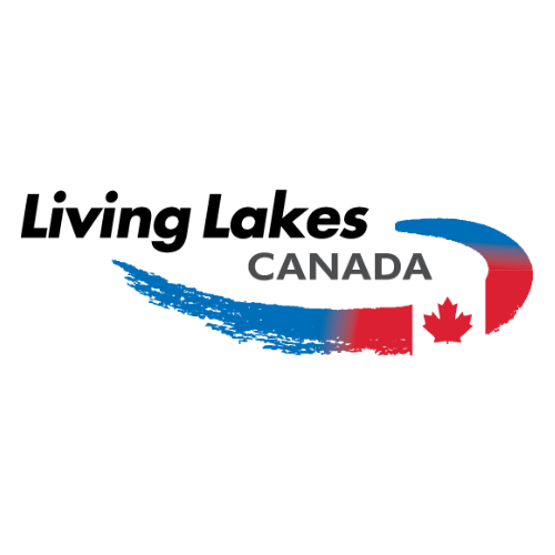 RVDM logo (14).png