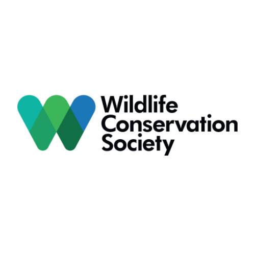 RVDM logo (11).png