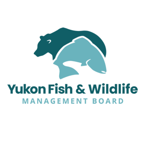 RVDM logo (2).png
