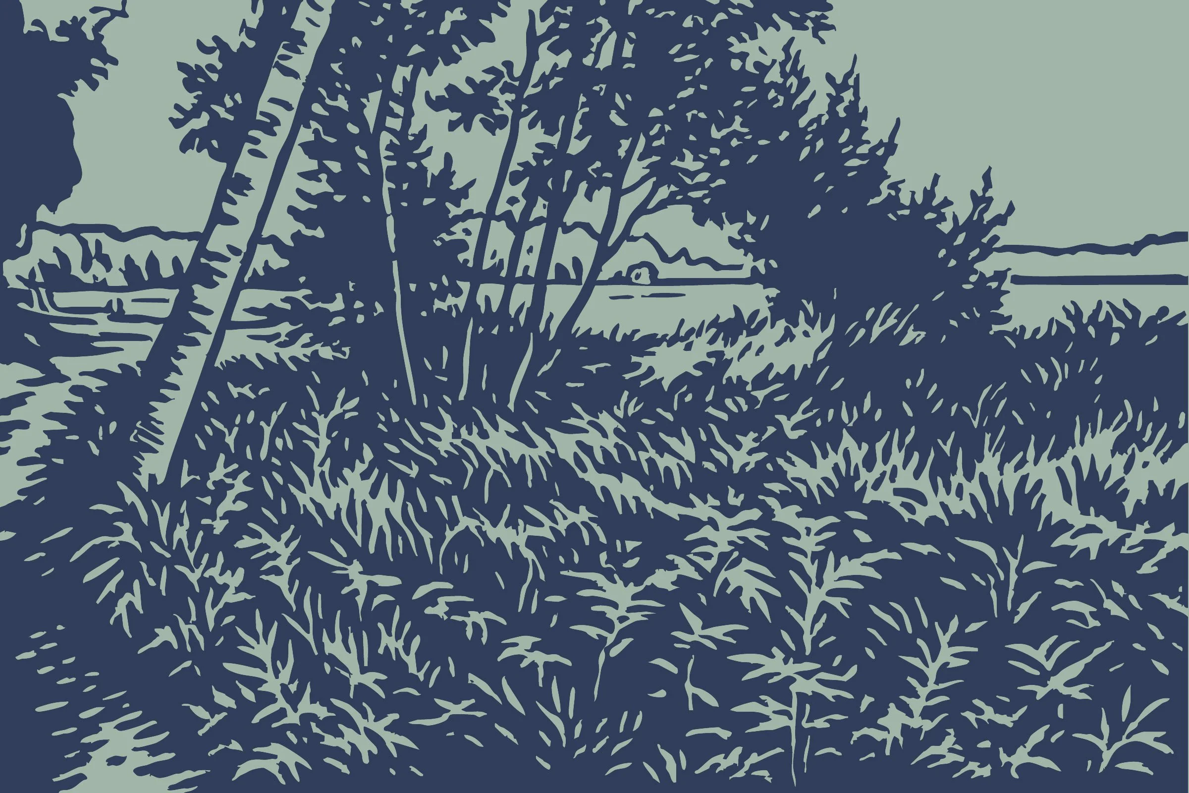 Marcus Beach Haliburton