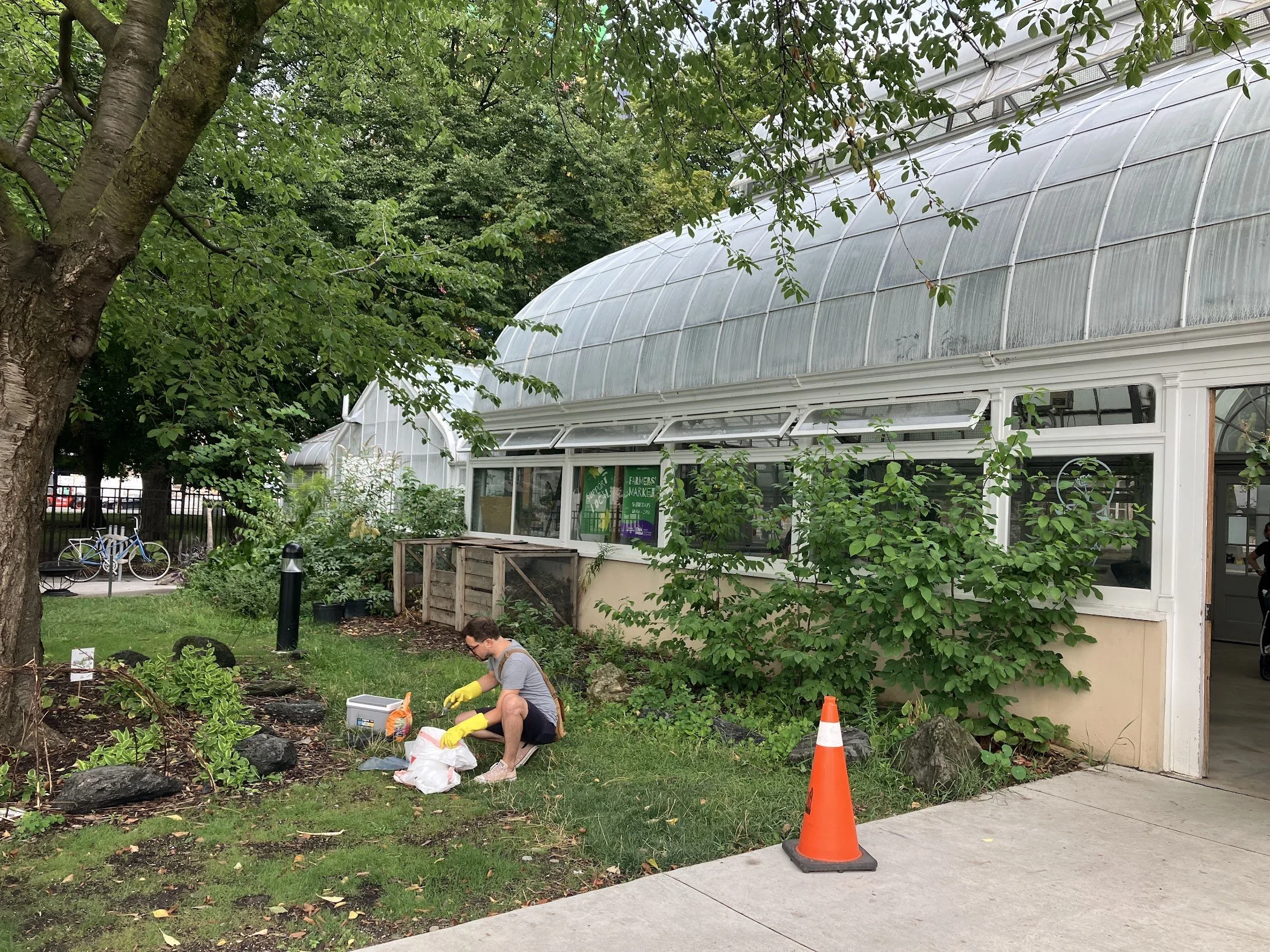Soil sampling at control site