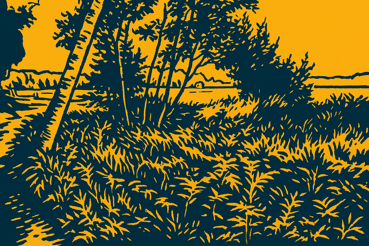 Marcus Beach Haliburton