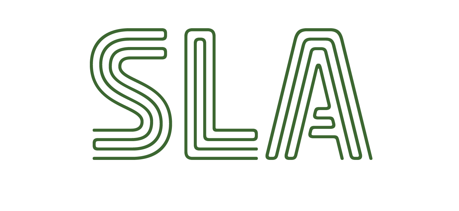 Soccer Leadership Academy Logo