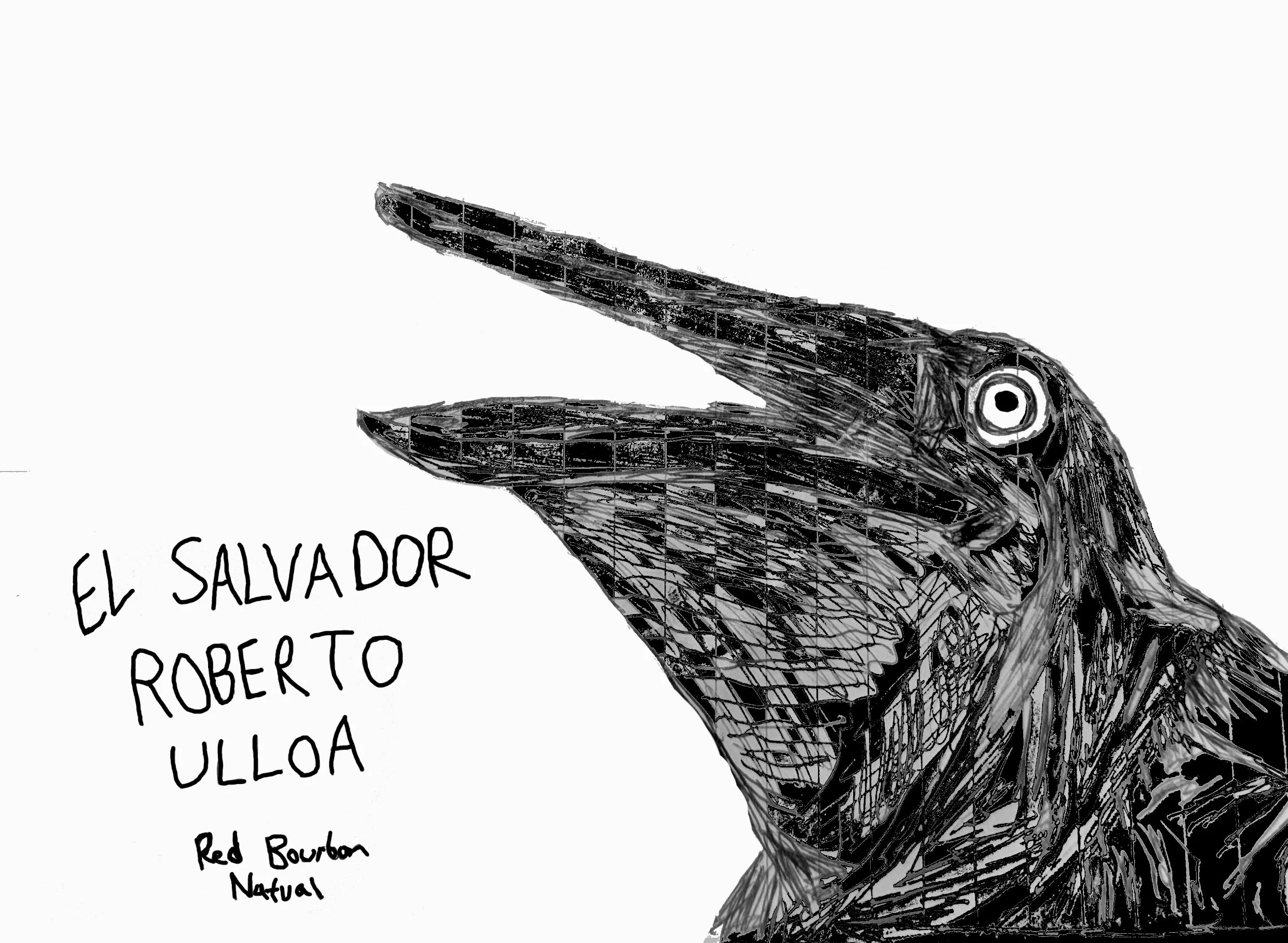 El Salvador Roberto Ulloa (Red Bourbon Natural) (Stone  Fruits, Berries, Black Current, Sweet Juicy)