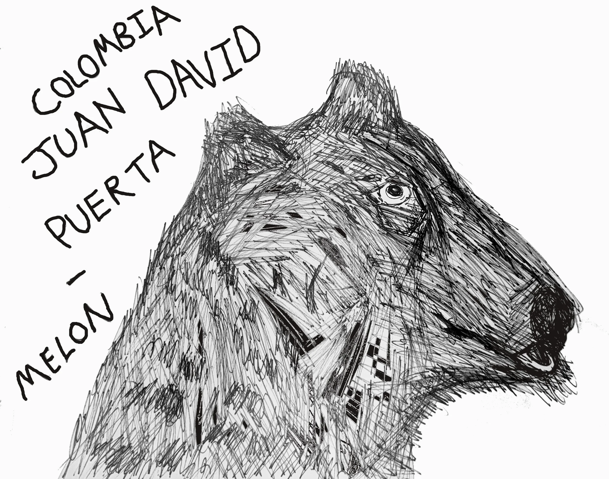 Colombia - Juan David Puerta (Castillo Honey “Cantaloupe” Melon Co-fermentation) (Melon, Bubblegum, Watermelon, Cantaloupe)