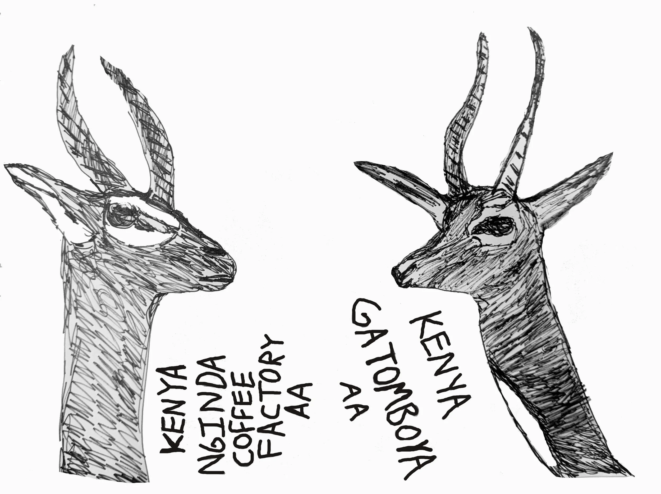 kenyachristmas.jpg