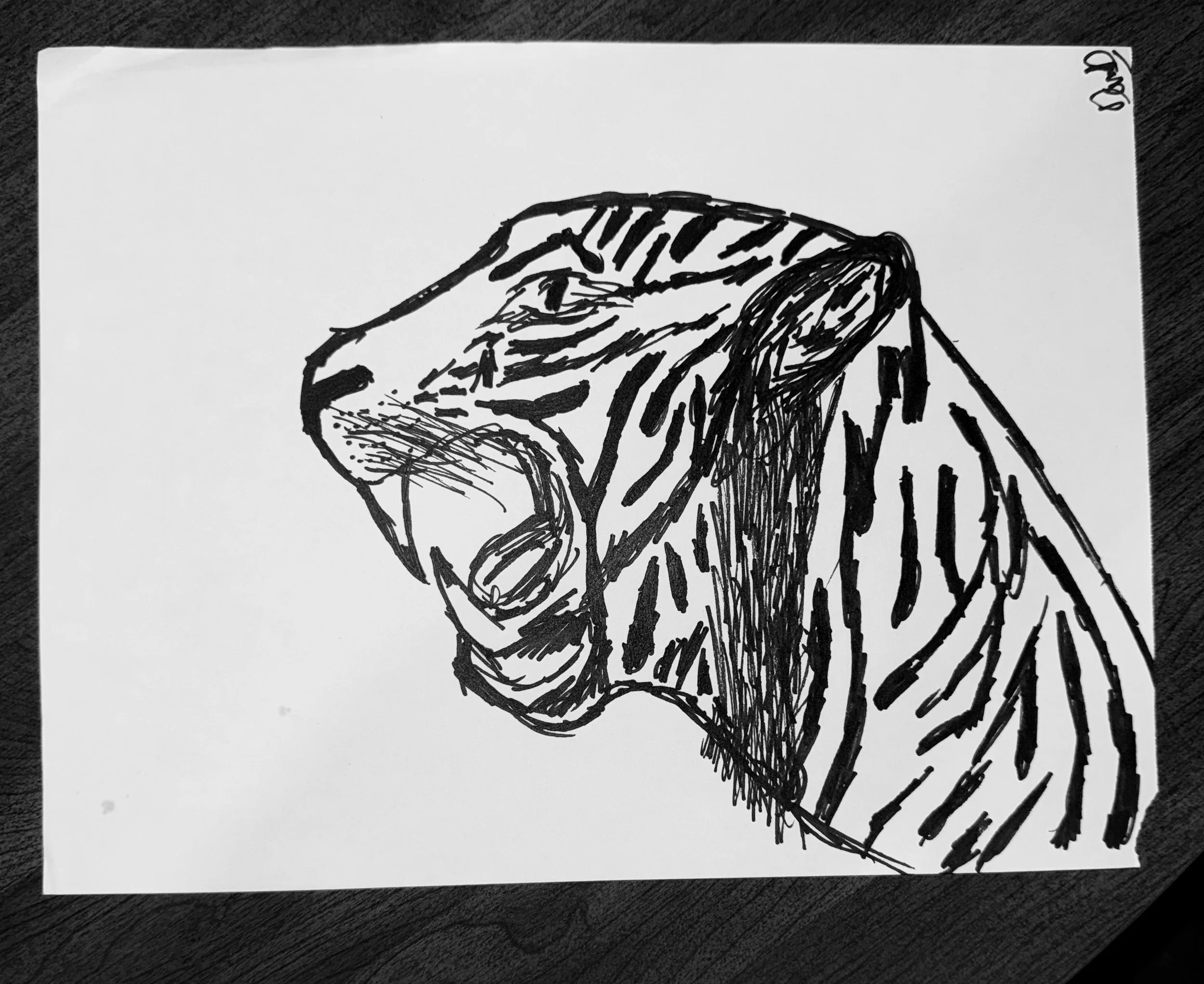 IMG_4428.jpeg