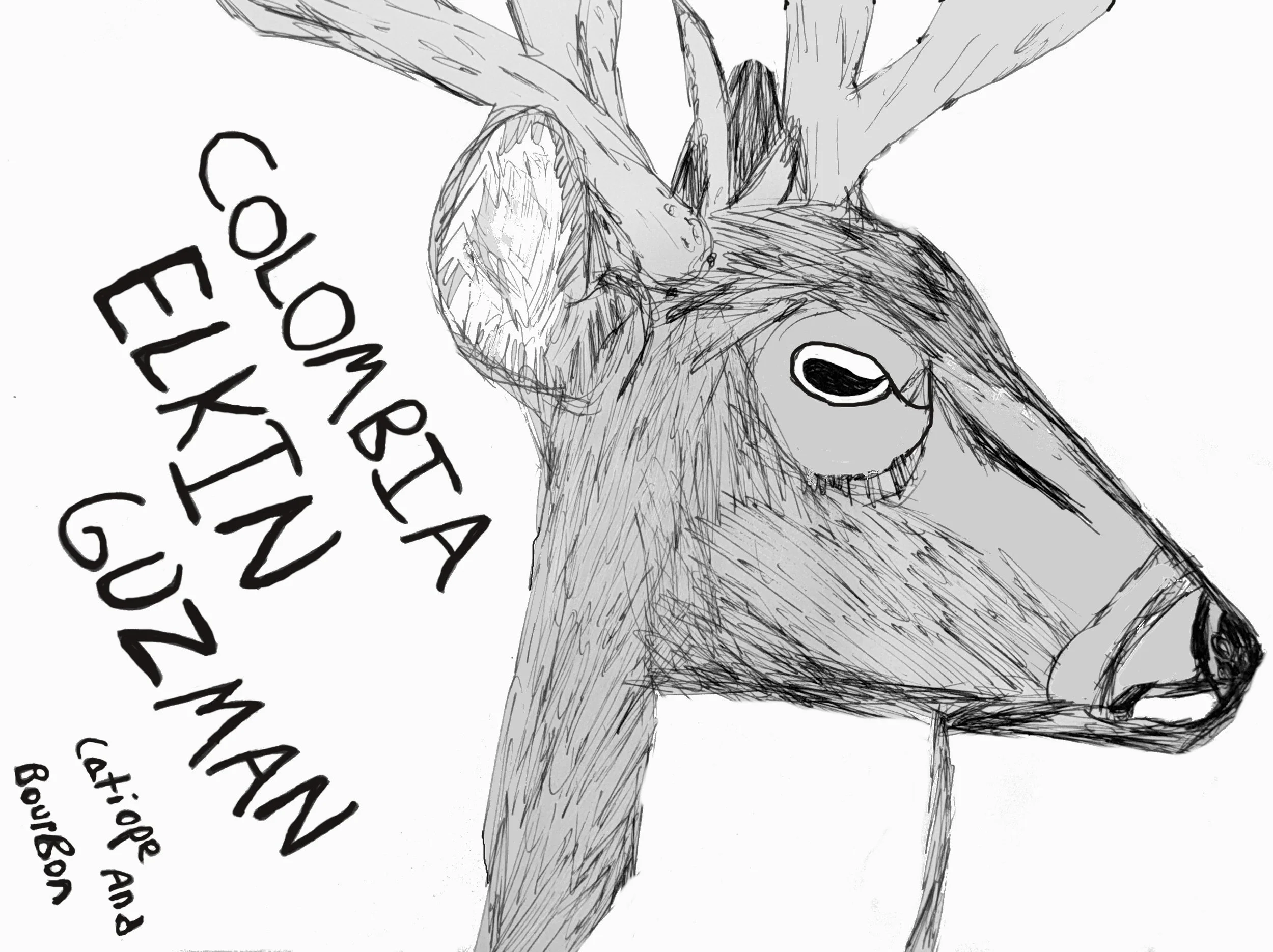 Colombia  - Elkin Guzman (Catiope & Bourbon Washed) (TASTE NOTES ARE ADDED WHEN COFFEE IS FULLY RELEASED)