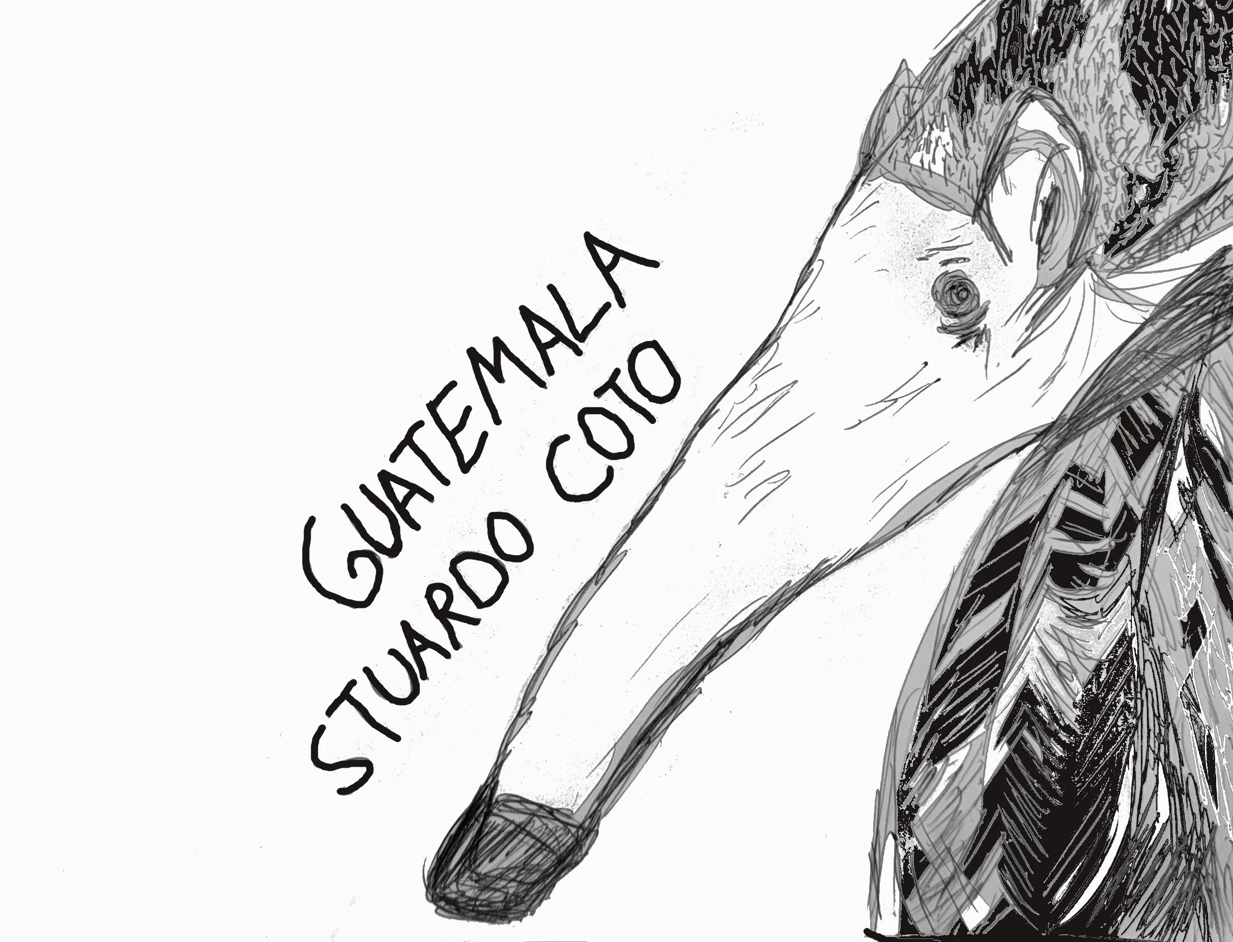 guatamalacoto.jpg