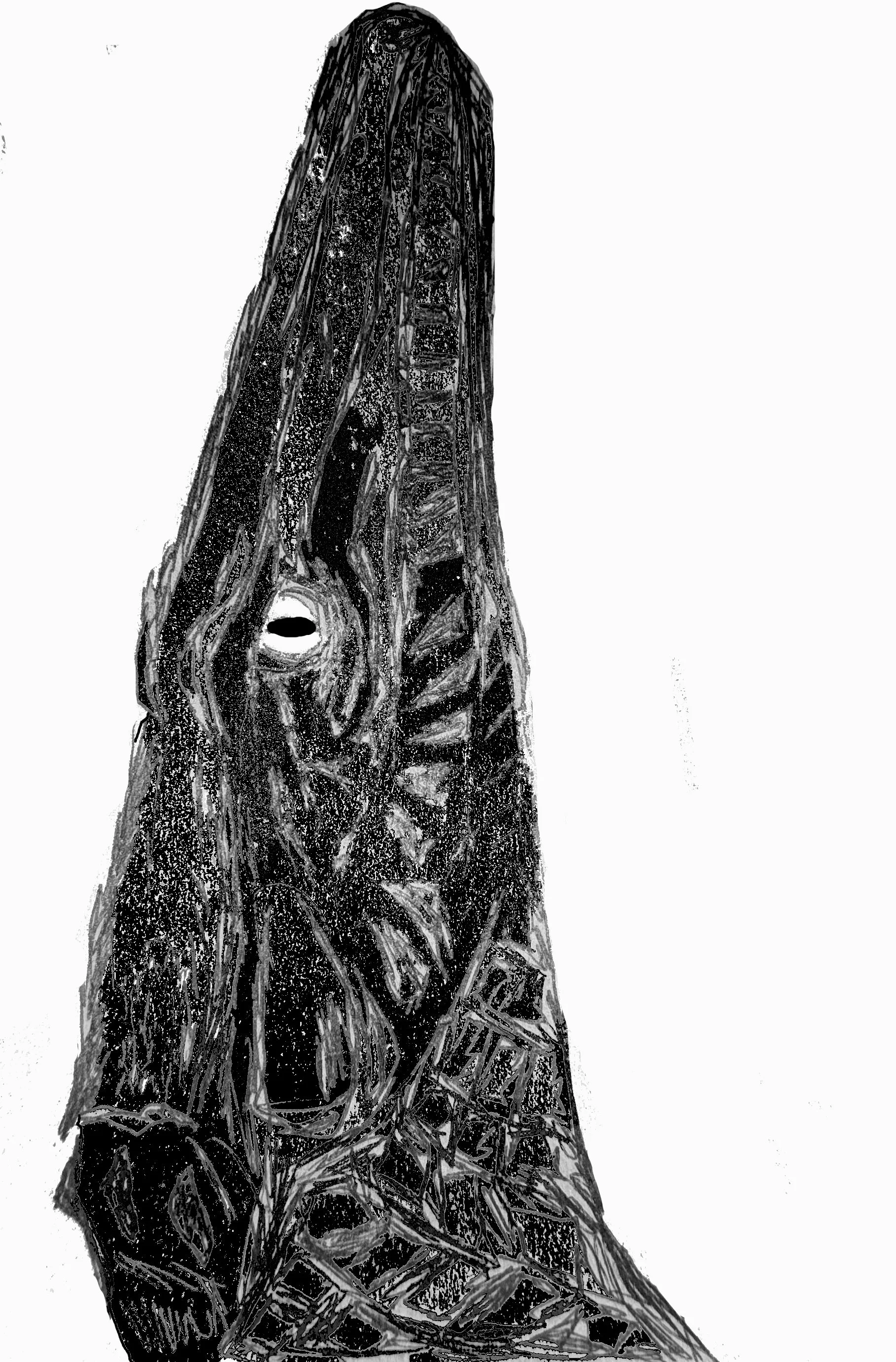 INUGAMI ESPRESSO - DINOSAURS - SPINOSAURUS (Caramelized Banana, Tropical Fruits, Stewed Strawberries, Roasted Strawberries)