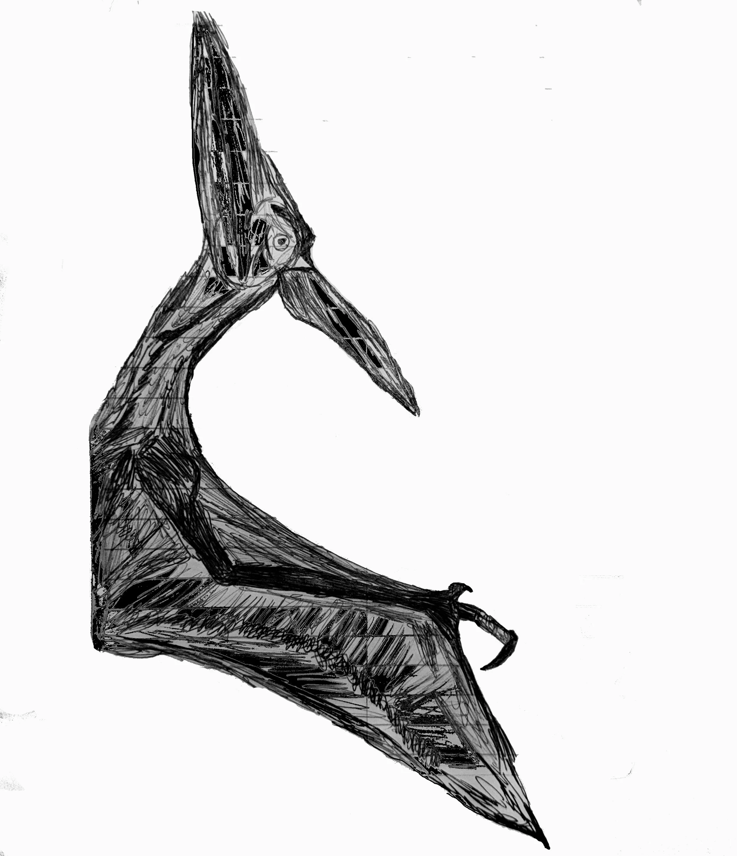 INUGAMI ESPRESSO - DINOSAURS - PTERODACTYL (Carmel Apple, Apple Candy, Roasted Tropical Fruits, Stewed Mojito)