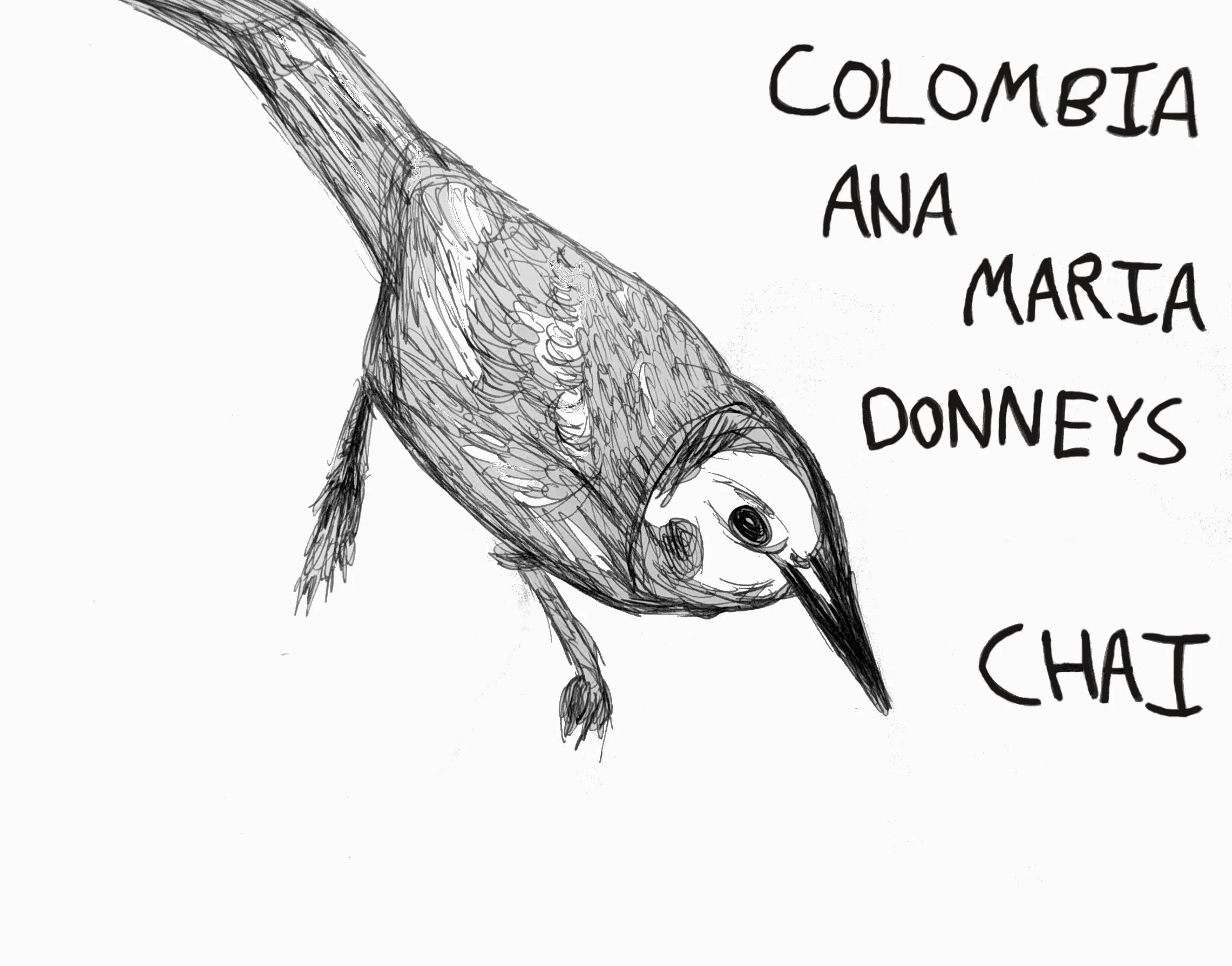 Colombia - Ana Maria Donneys (Carturra Red Honey / Mossto) (Passion fruit, Pineapple, IPA Hops) Honey Chai