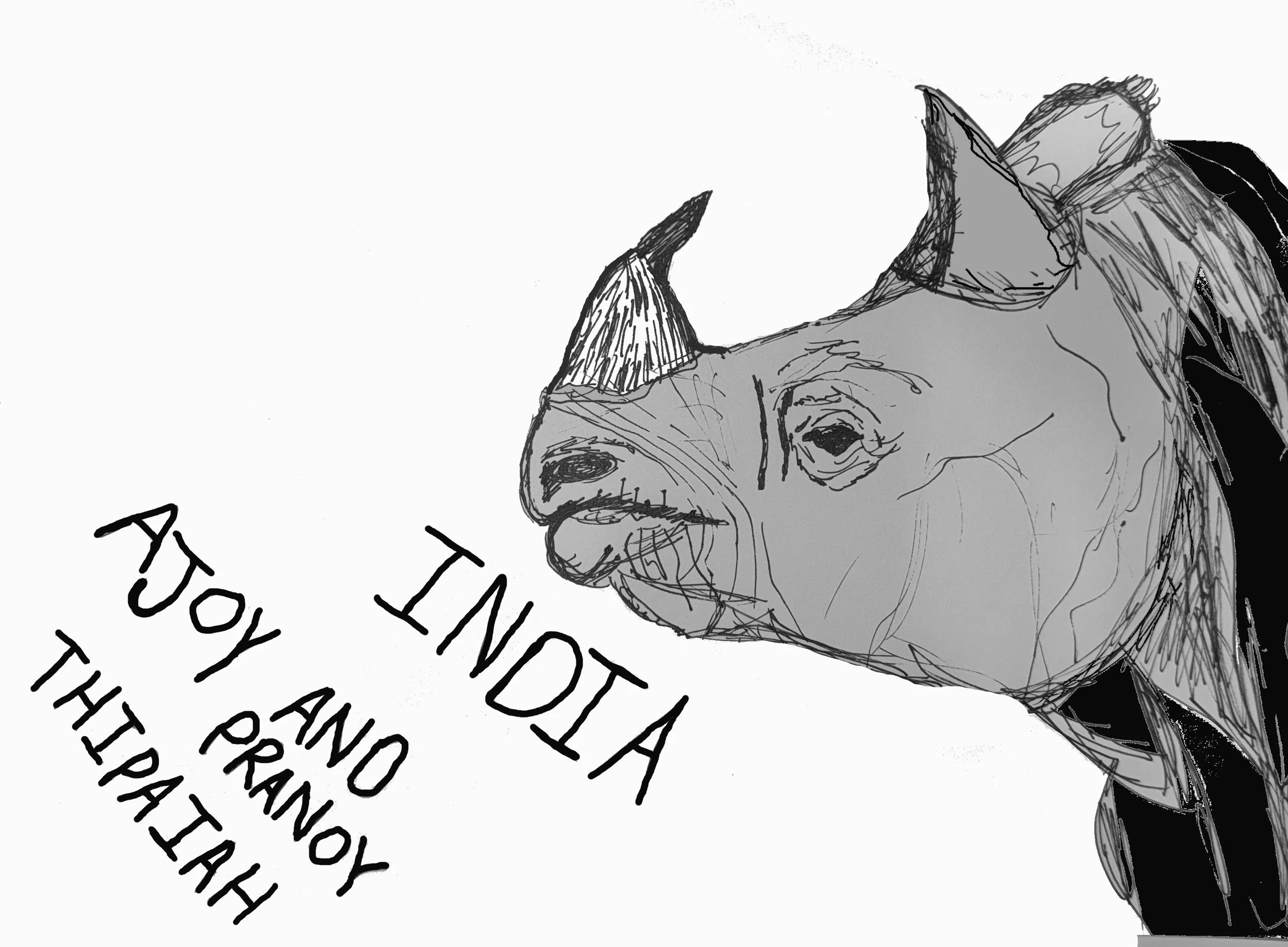 indiarhino.jpg