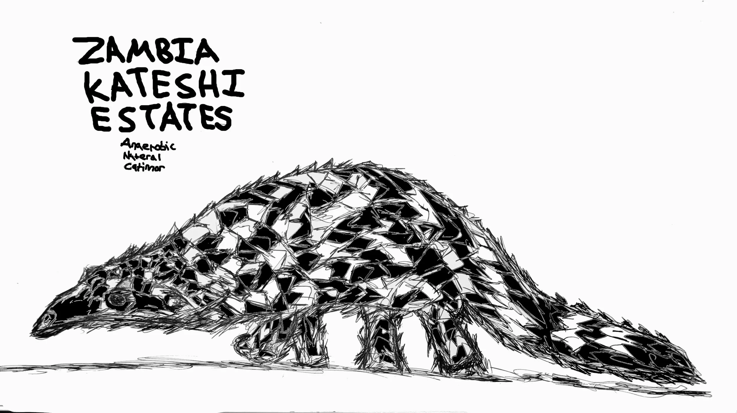 Zambia - Kateshi Coffee Estates (Anaerobic Natural Catimor) (Red fruit Compote, Berry, Slight Winey Funk)