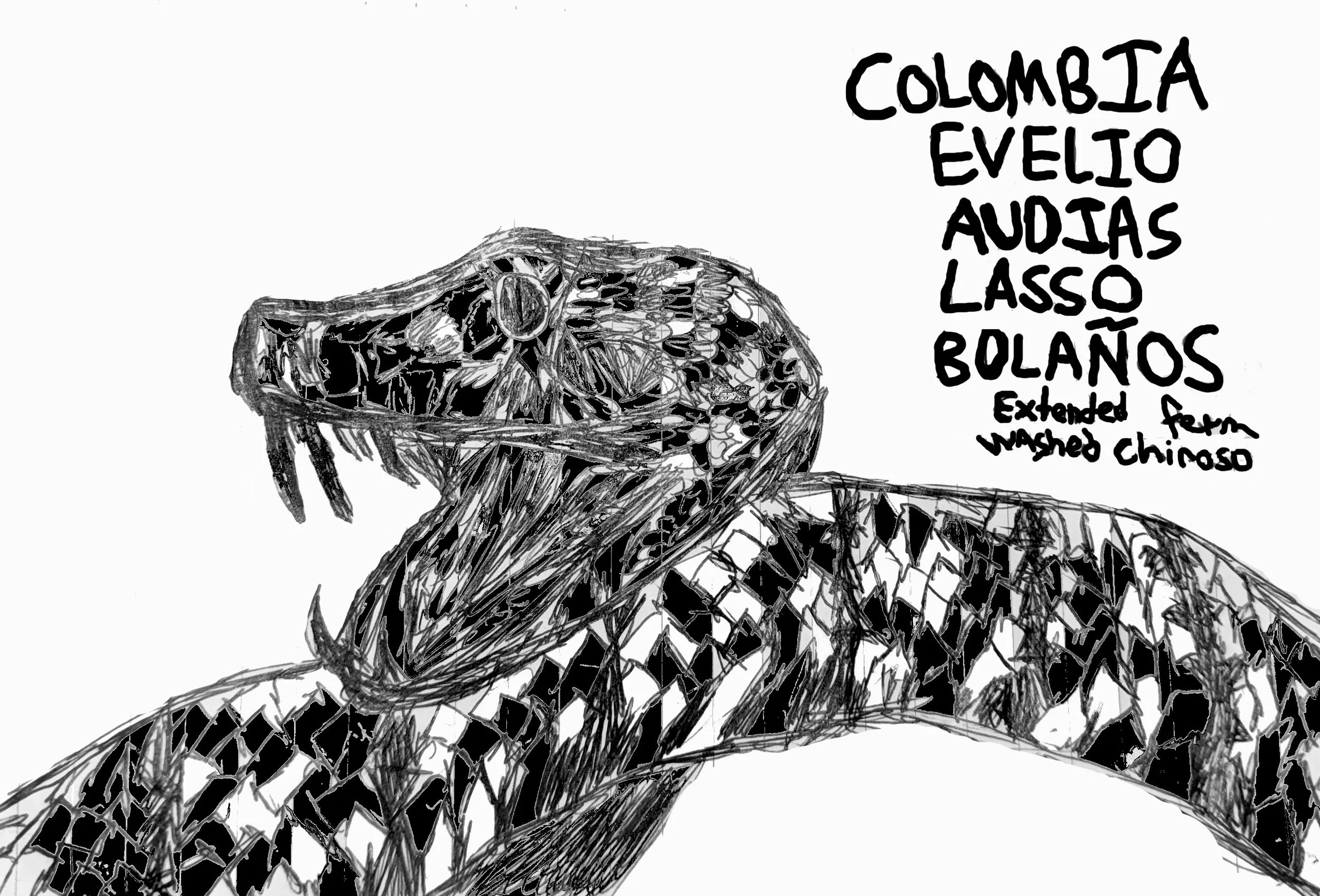 Colombia - Evelio Audias Lasso Bolaños (Extended Fermentation Washed Chiroso) (Blood Orange, Guava Paste, Tropical Fruits, Grape)