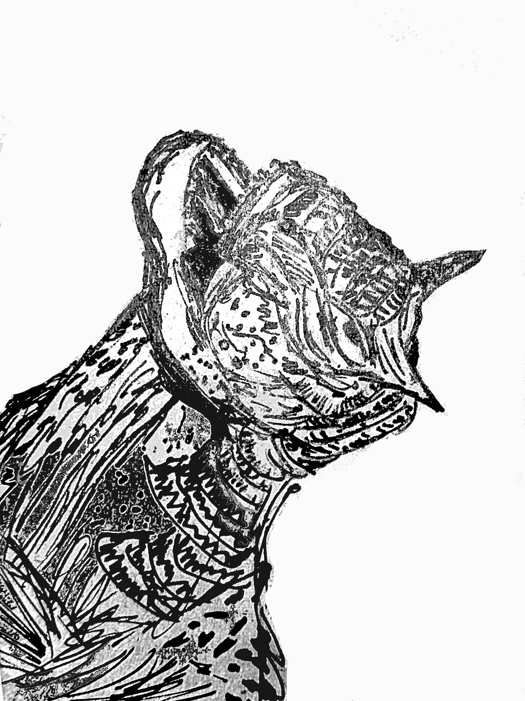 INUGAMI ESPRESSO - DINOSAURS - CARNOTAURUS (Forth Wave Espresso)