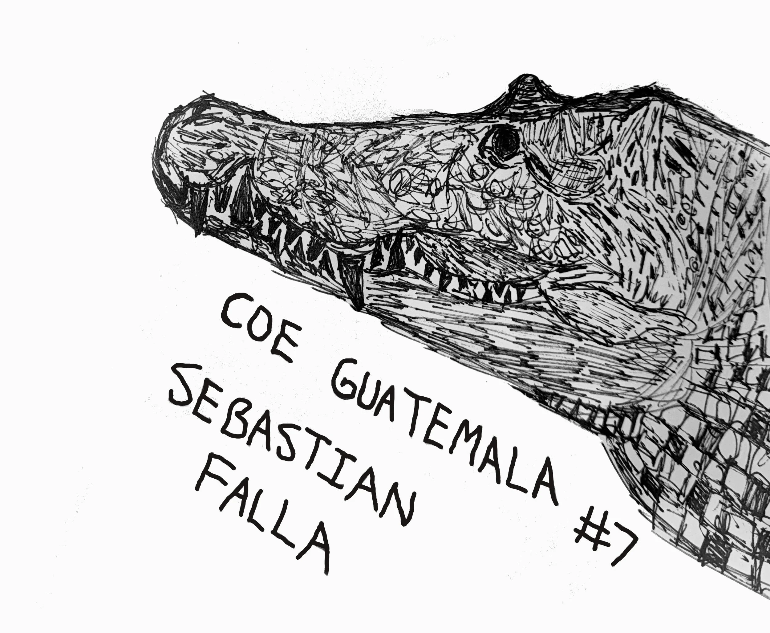 guatemalaCOE.jpg