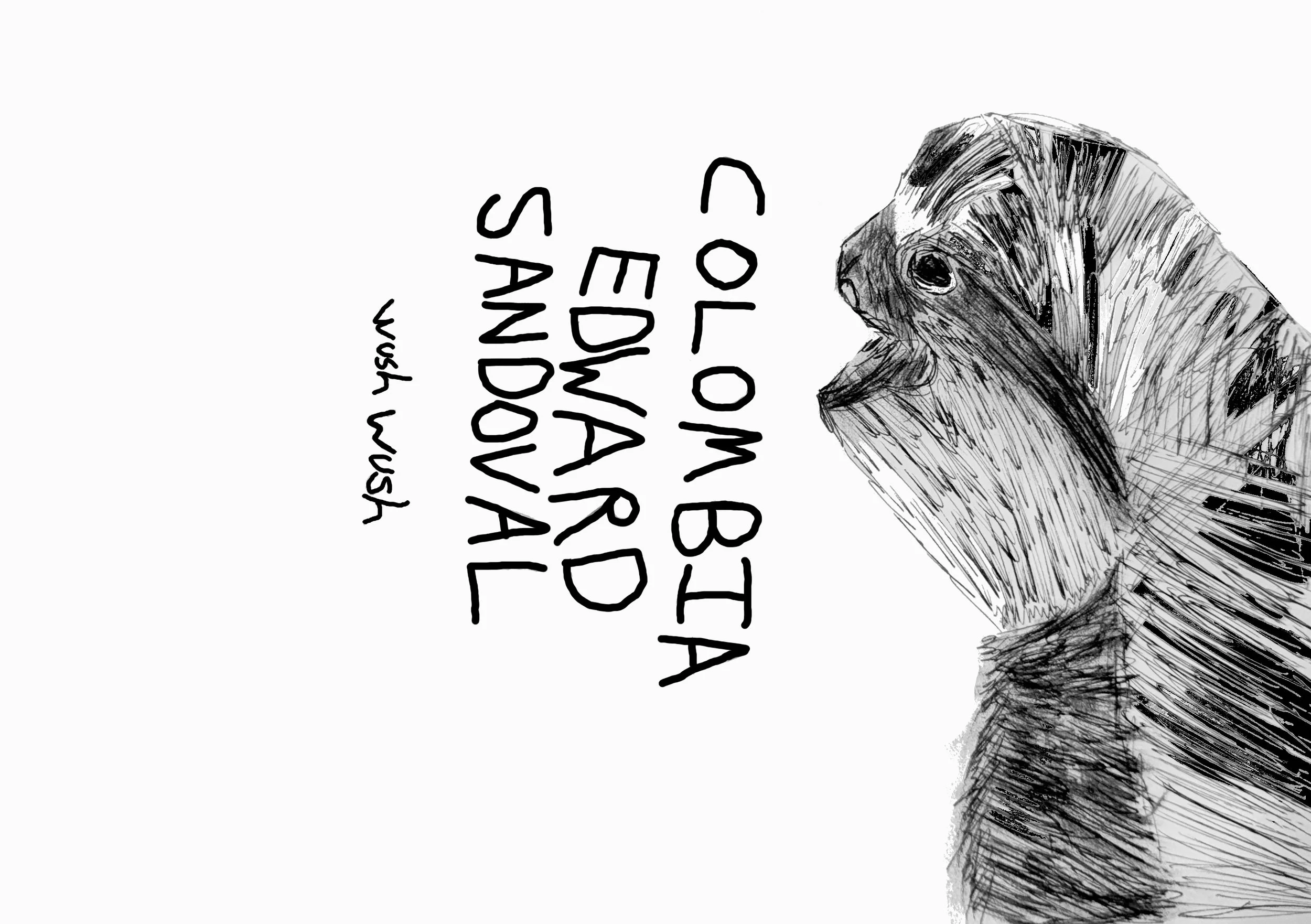 Colombia -  Edward Sandoval (Wush Wush Washed) (TASTE NOTES ARE ADDED WHEN COFFEE IS FULLY RELEASED)