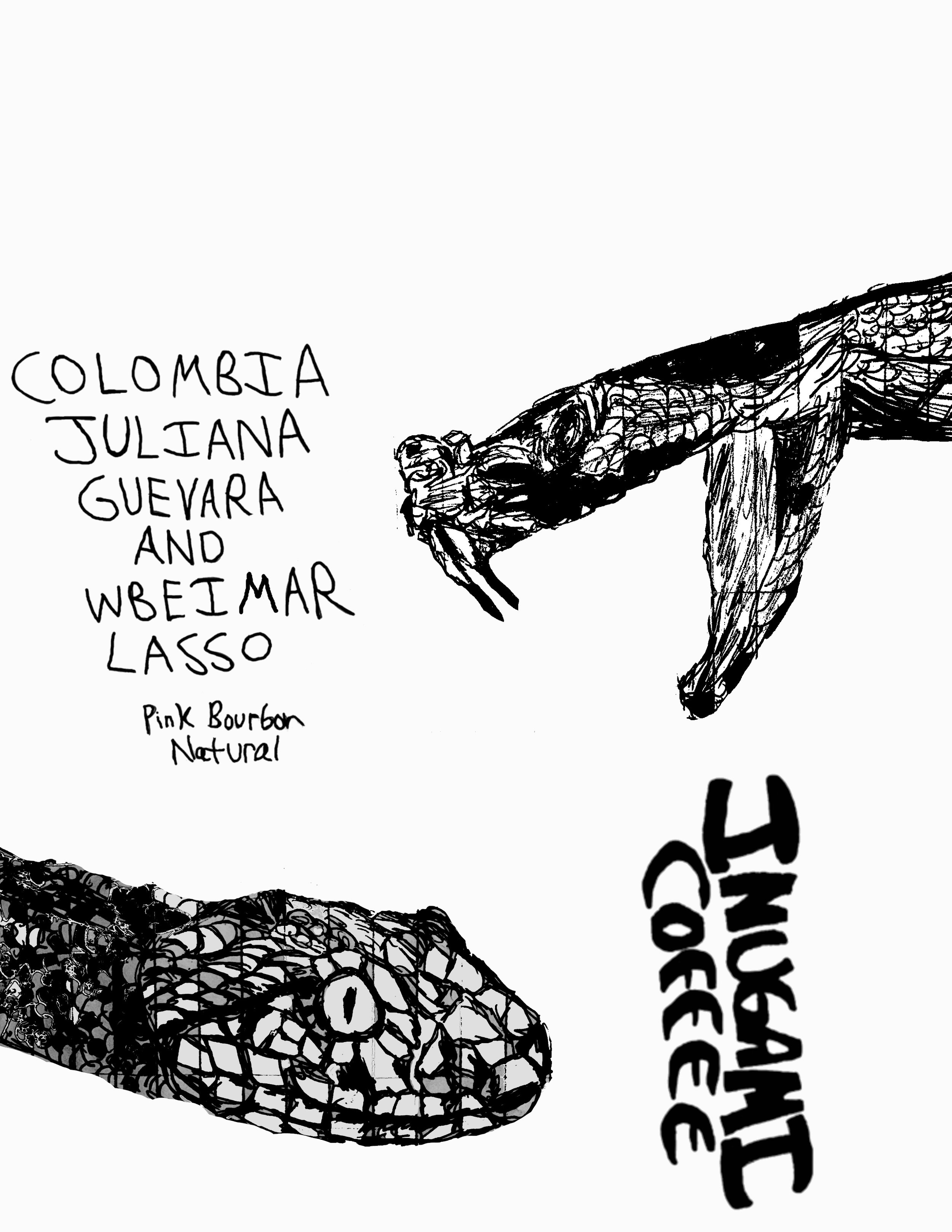 Colombia  - Juliana Guevara and Wbeimar Lasso (Pink Bourbon Natural) (Cherry Lemonade, Stewed Fruits, Sweet Hibiscus)