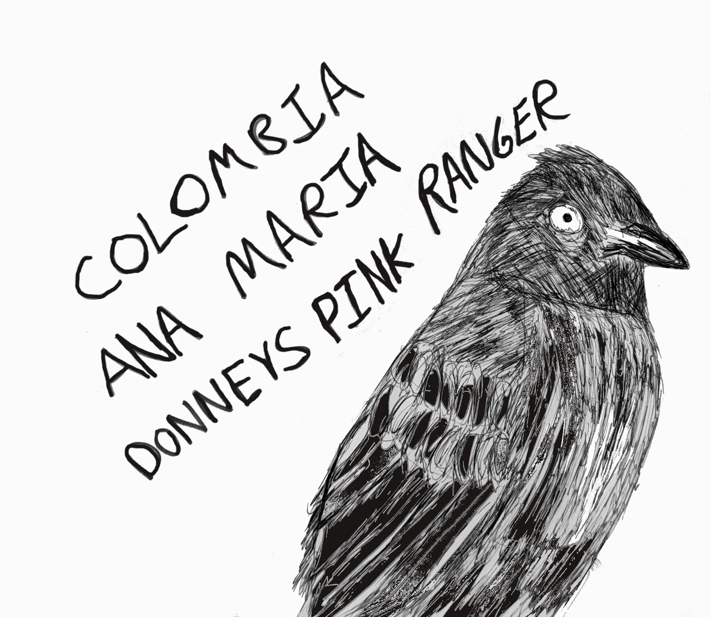 Colombia - Ana Maria Donneys (Pink Bourbon & Caturra Red Honey / Carbonic Maceration / Yeast Innoculation) (Grape Kool-Aid, Strawberry, Blueberry Yogurt ) Pink Ranger Honey