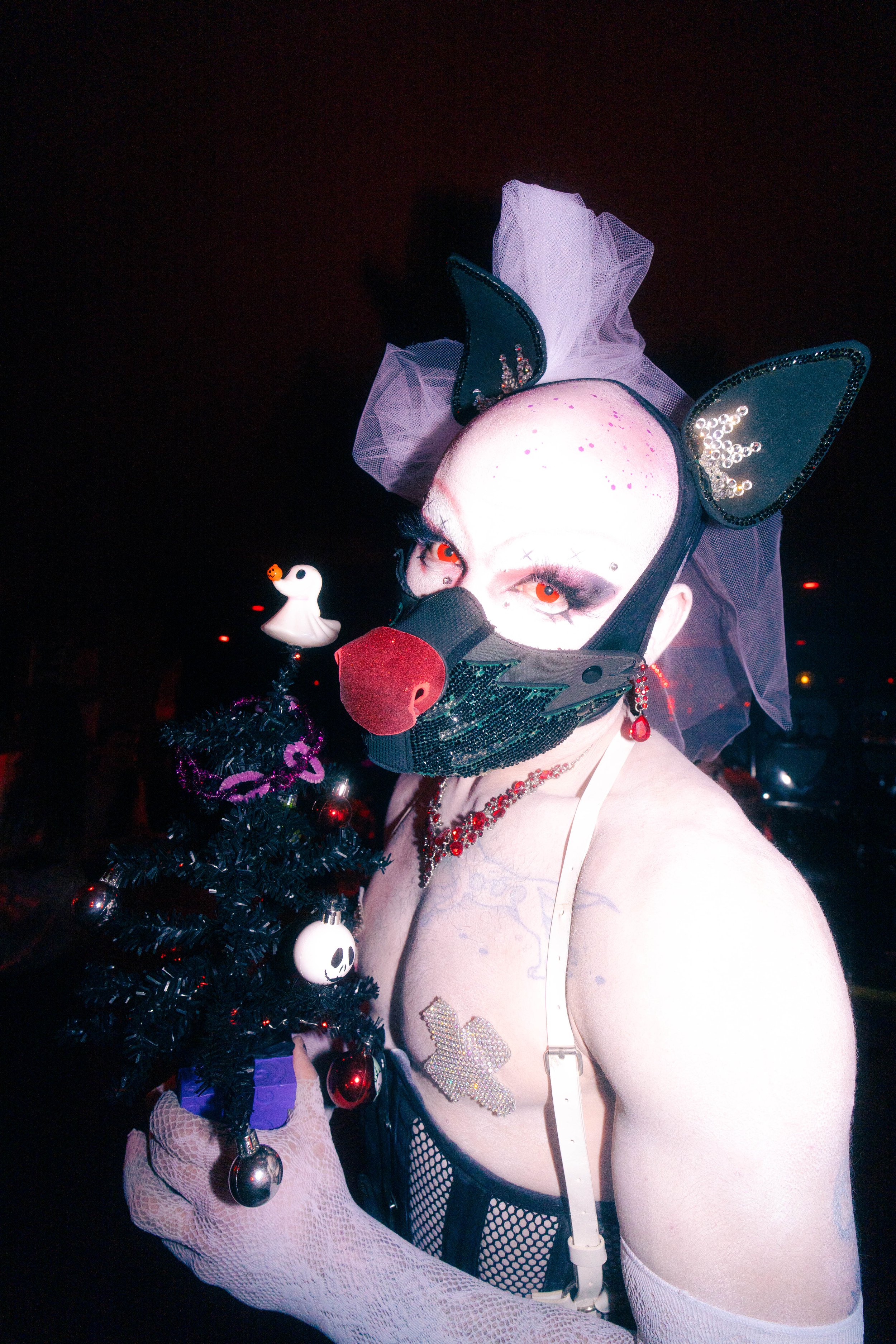 DSC06469.jpg