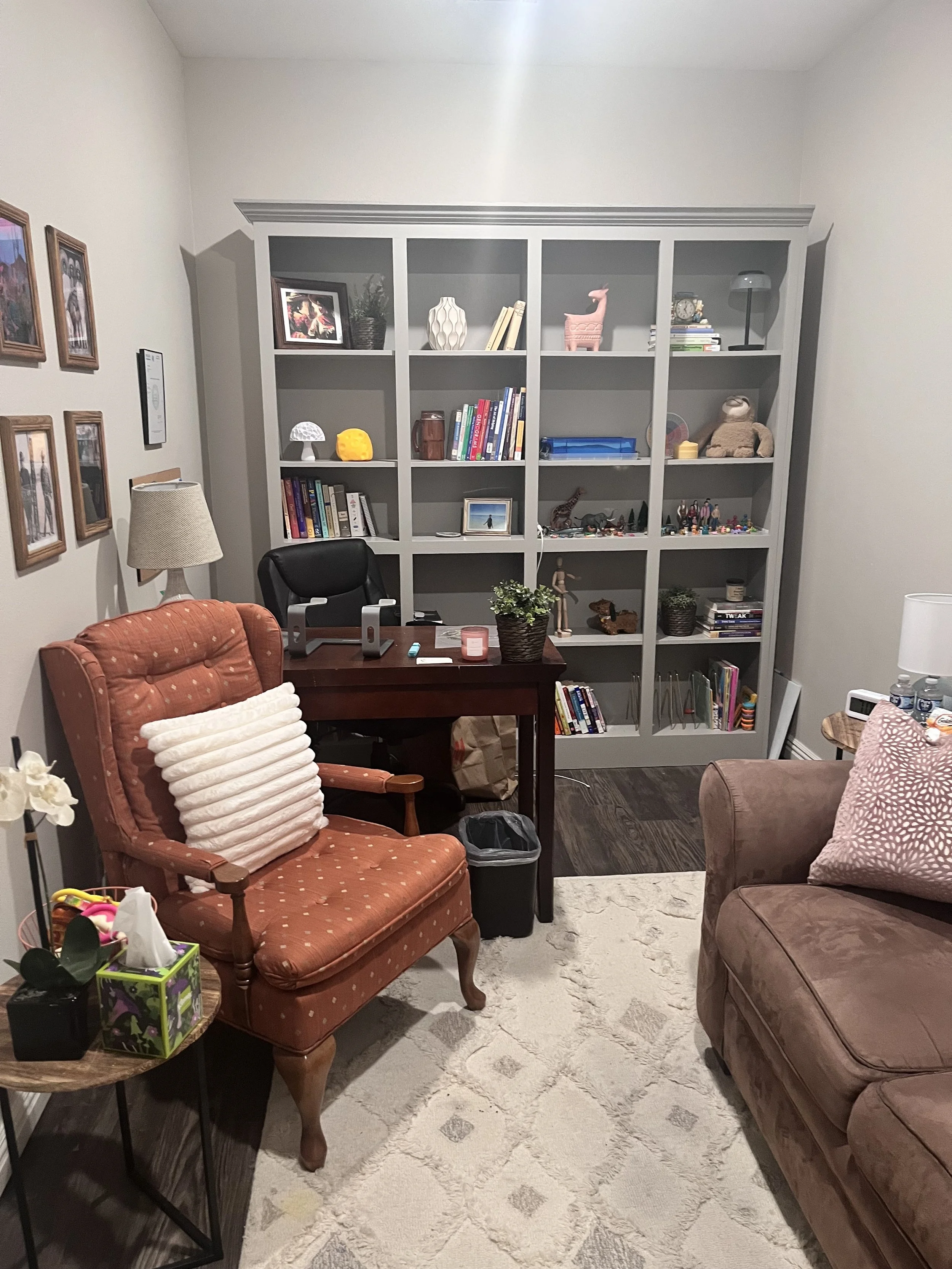 Individual Therapy Room Shelves.jpg