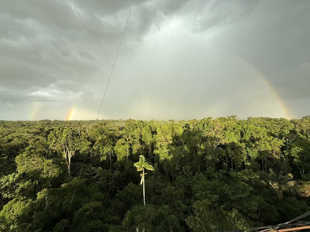 The Outer Amazon: A Perspective that Changes Everything