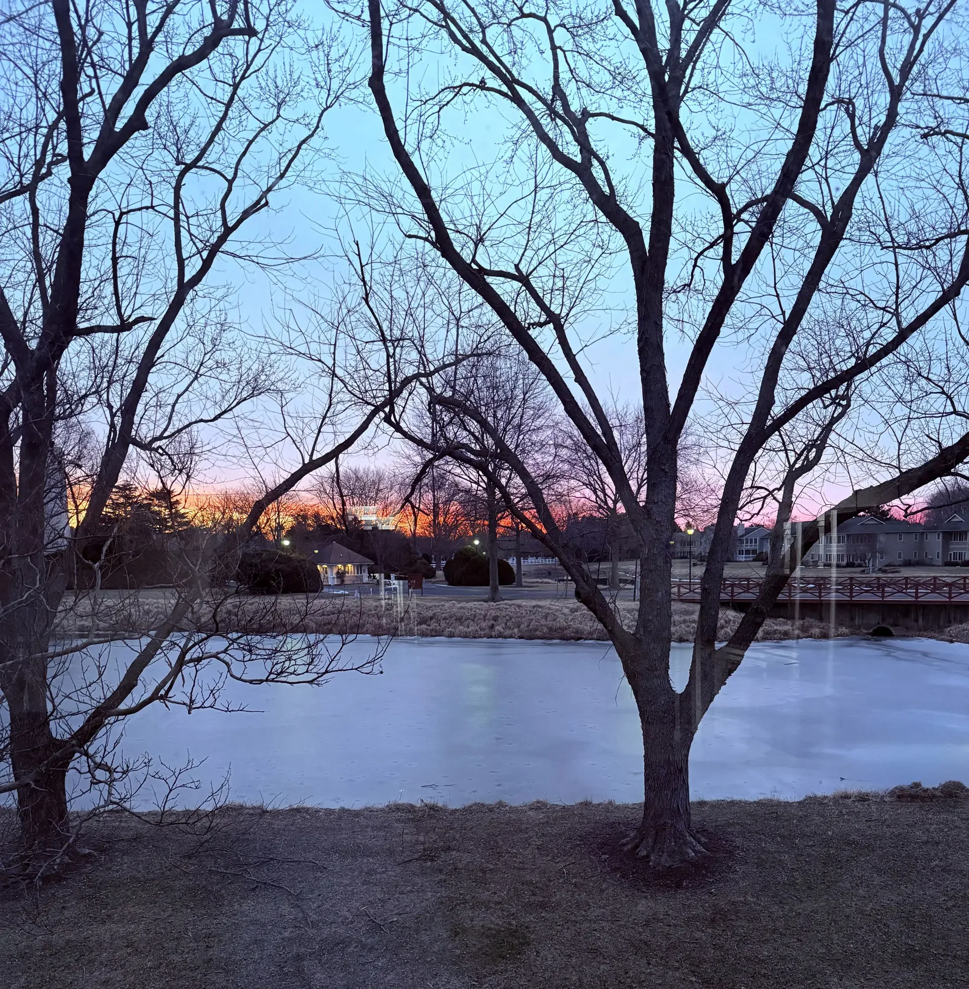 Valentine’s Day Reflections