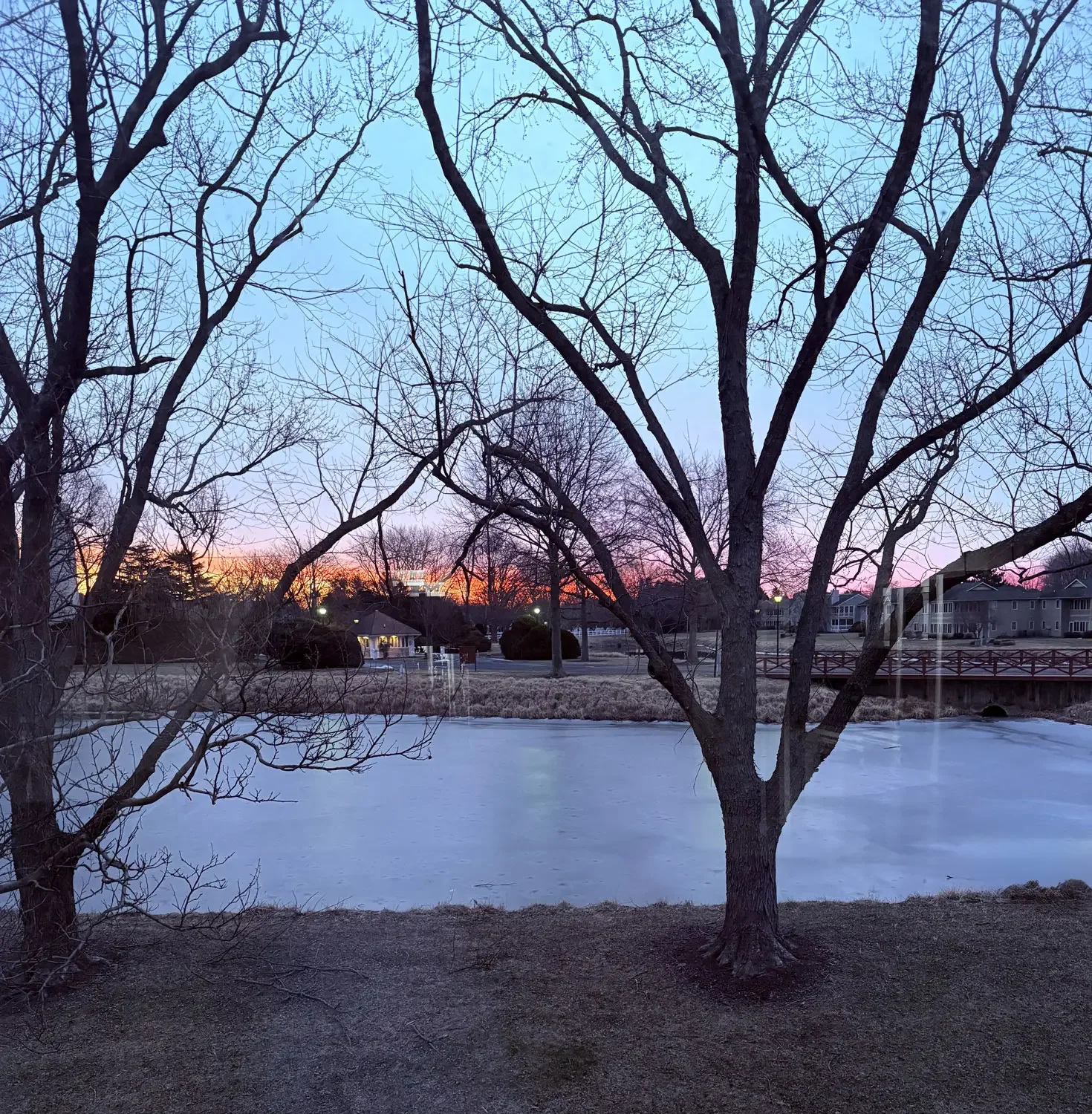 Valentine’s Day Reflections