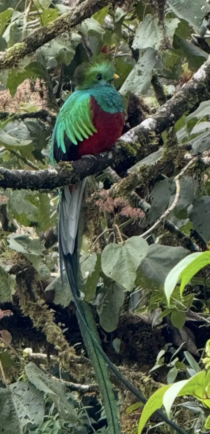 Where Attention Goes, Life Follows