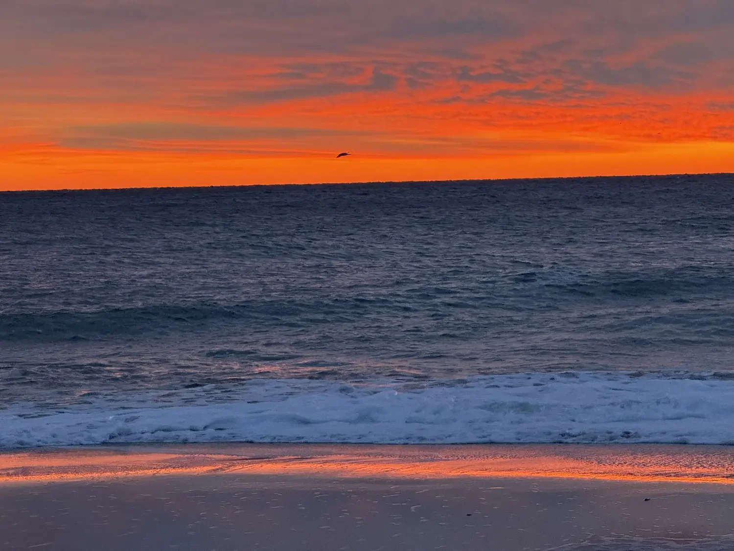 The Equinox: How Nature’s Laws Guide Transformation