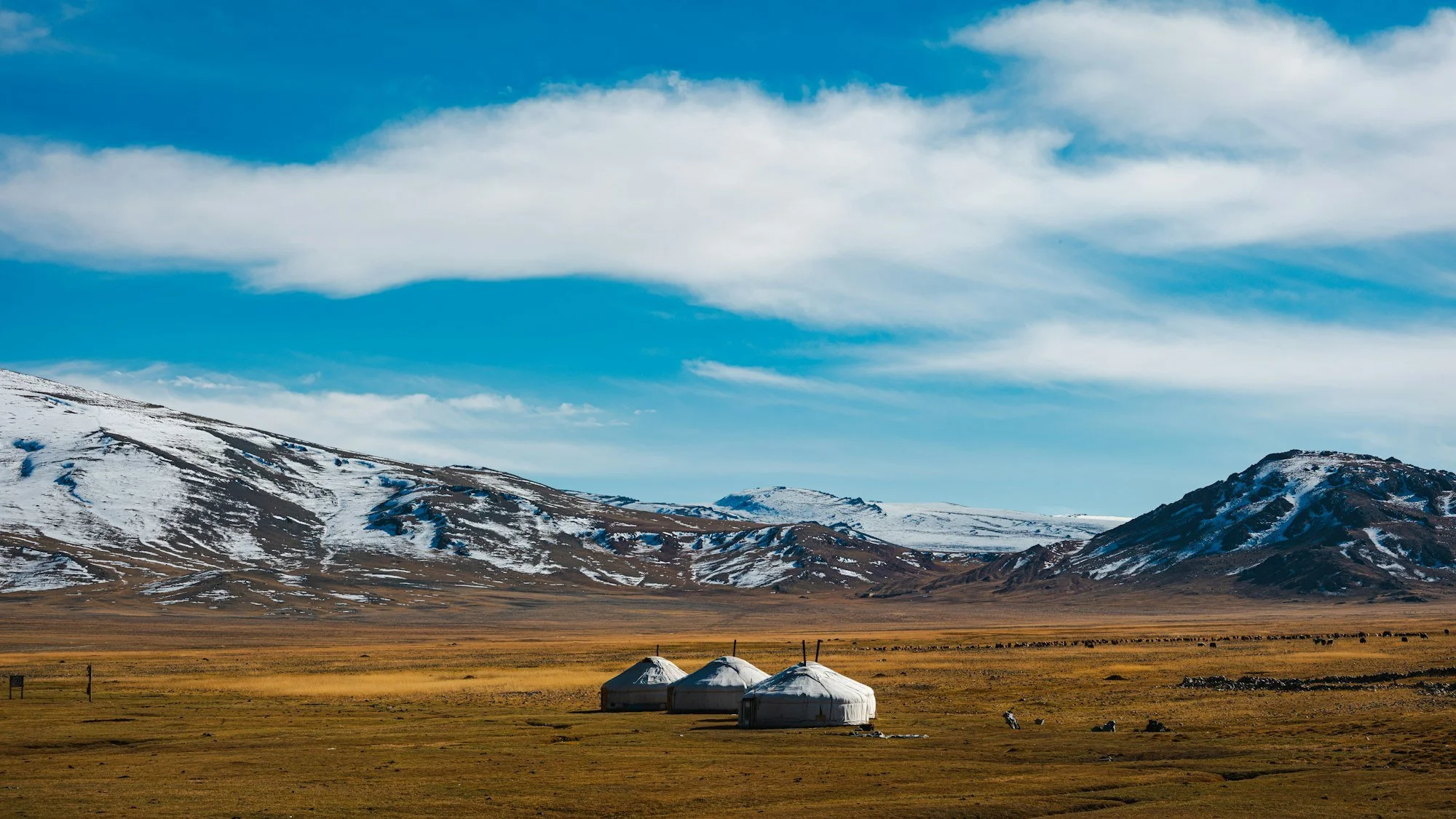 gers-on-the-mongolian-steppe.jpg