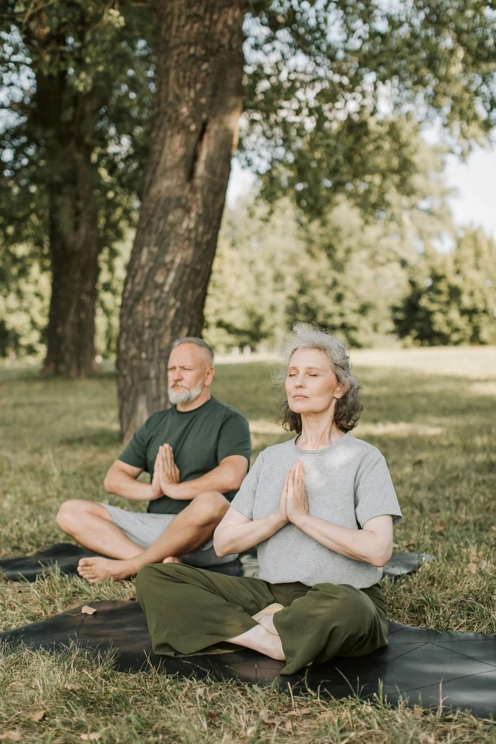 Two people meditating under trees