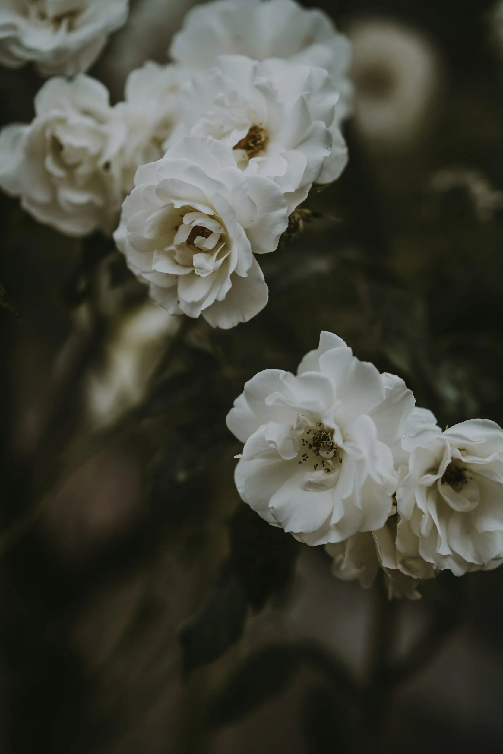 unsplash-image--983t8Ot4GI.jpg
