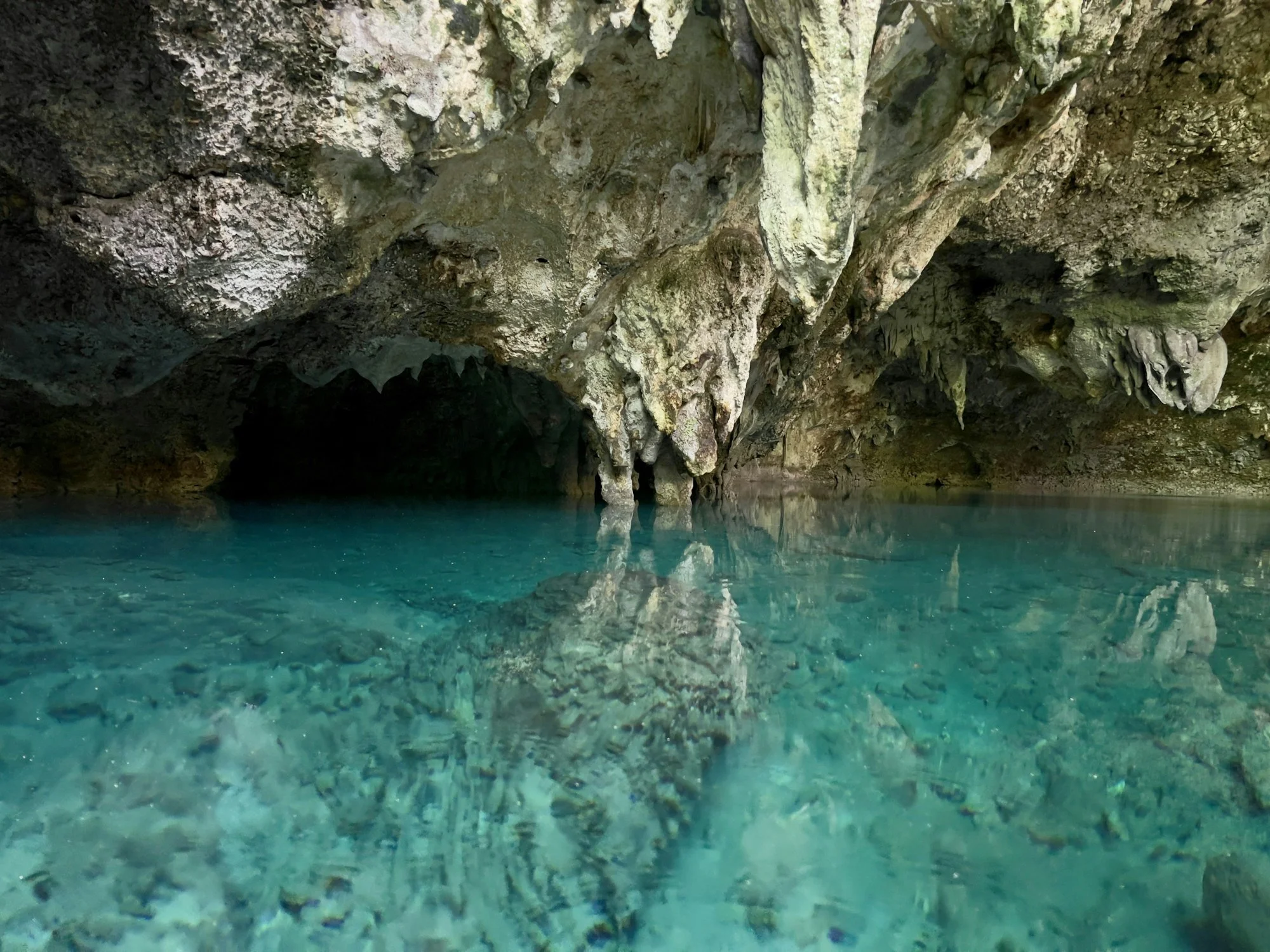 sacred-cenote-yucatan.jpg