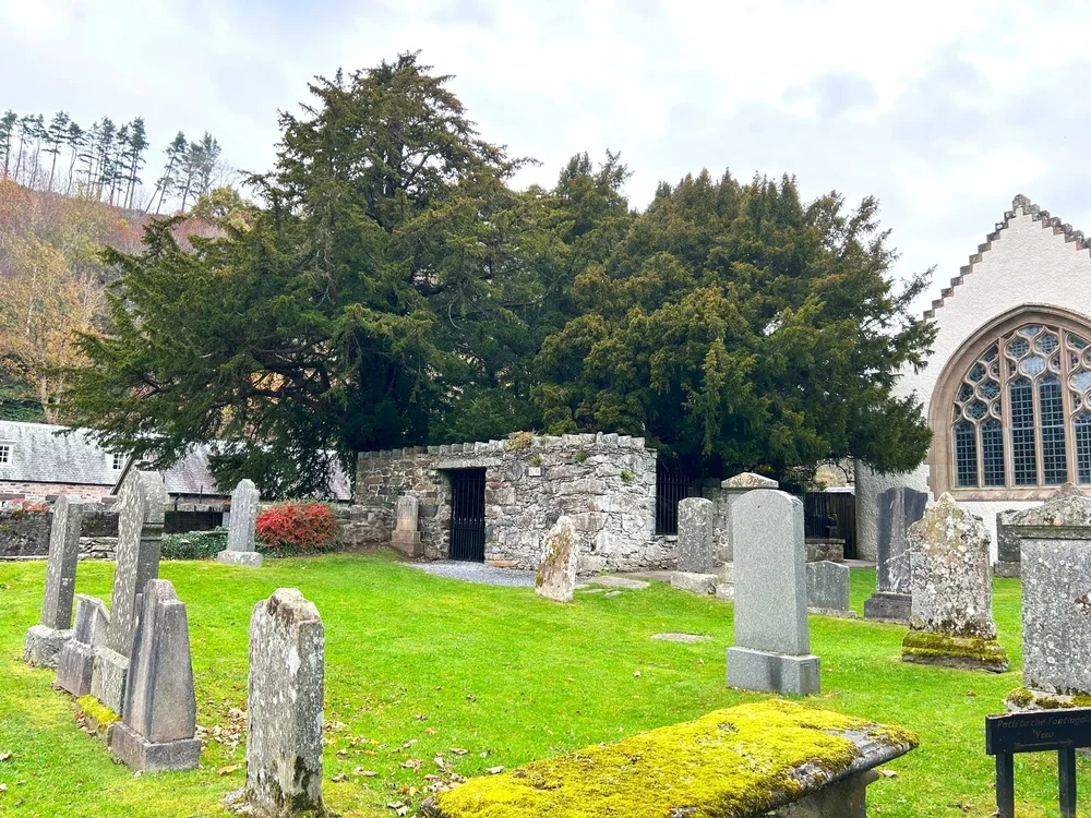 Fortingall churchyard and the ancient yew