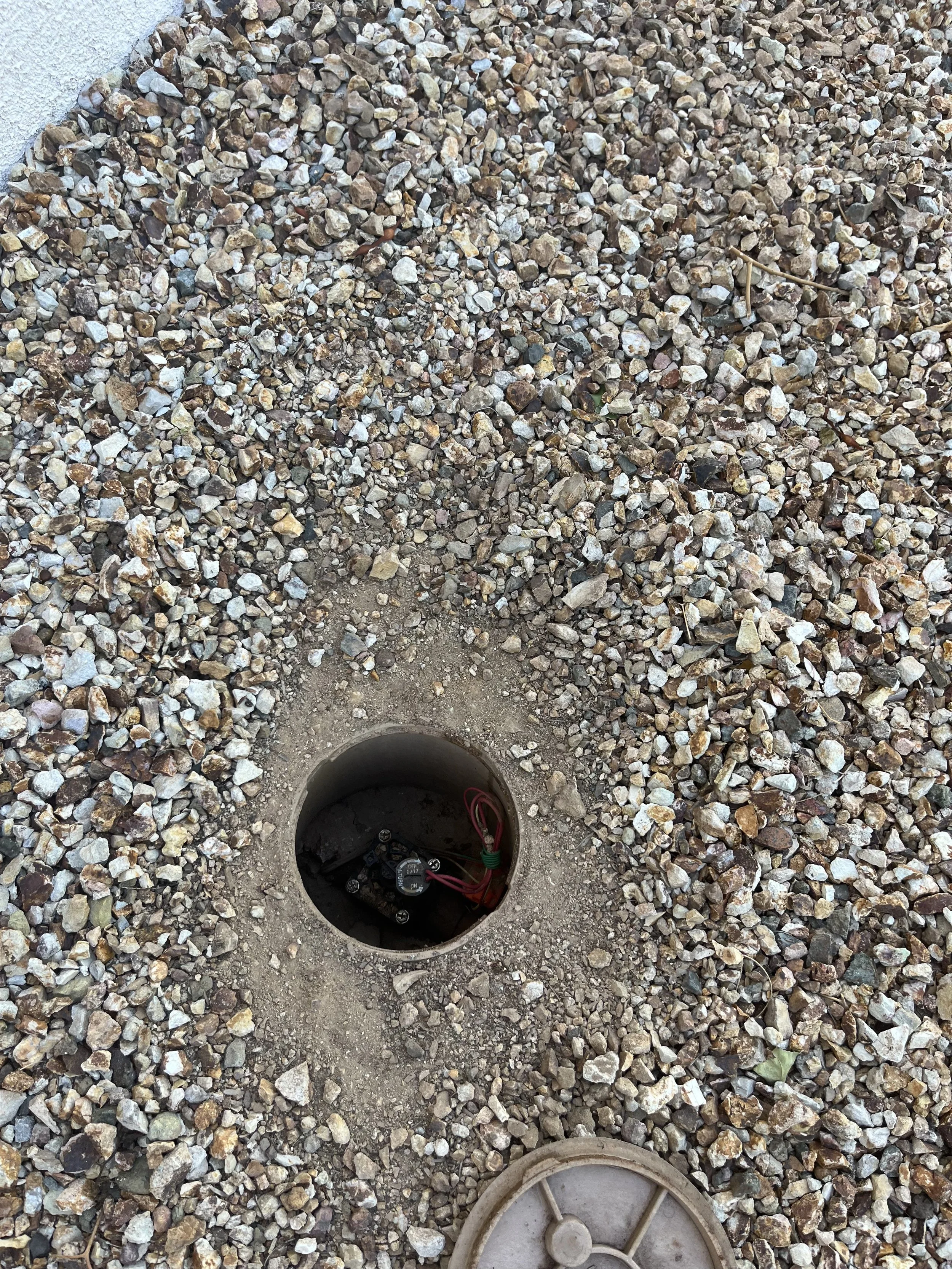 IMG_5249.jpg