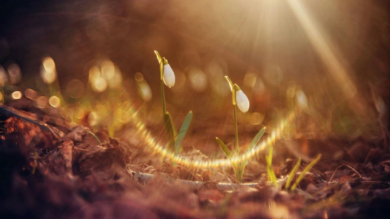 Welcome to Rhythms of Healing