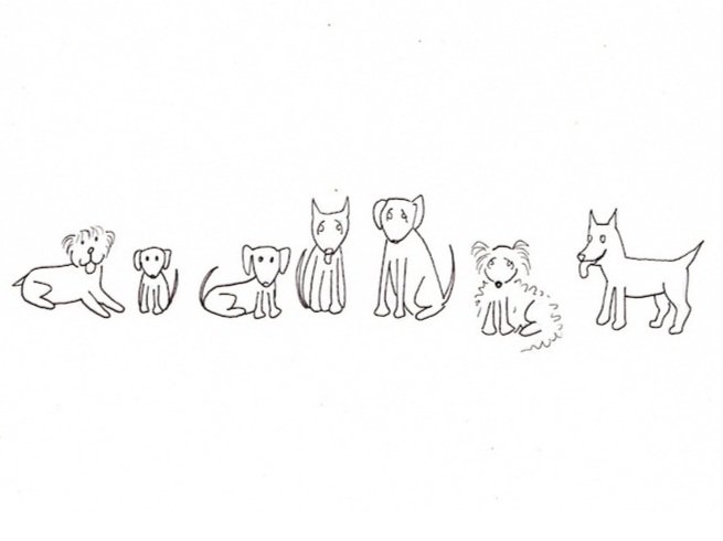 Small+Dog+Gang.jpg