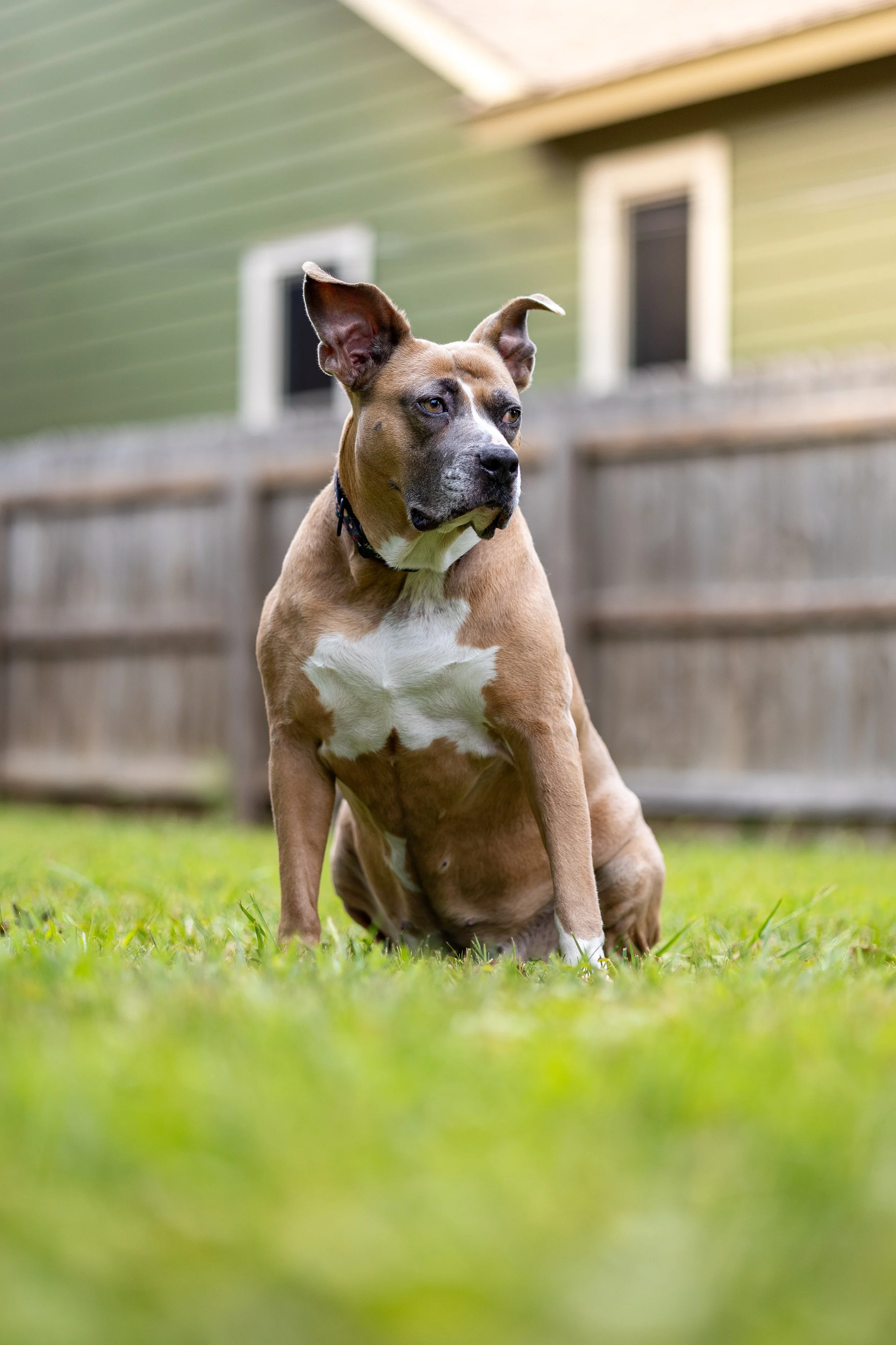 85 mm test.jpeg